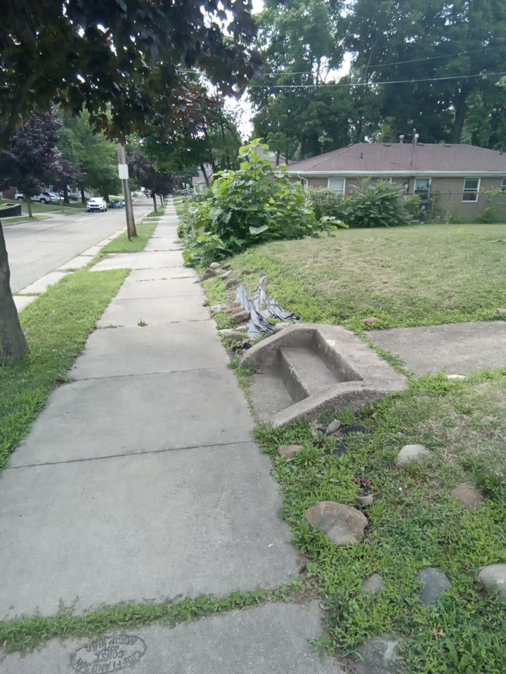 Tree Removal using Tree Removal by Mike Jones & Sons Tree Service LLC 