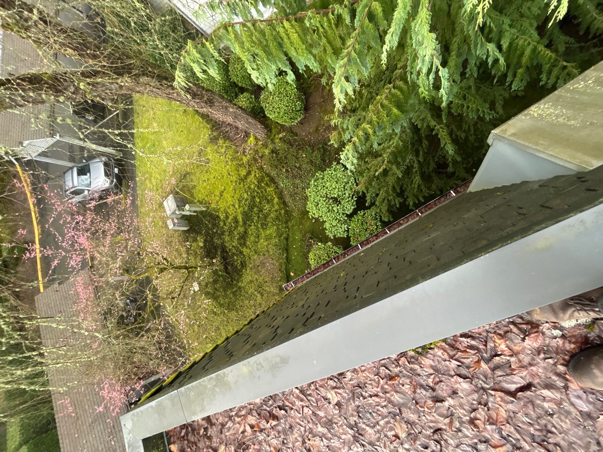 Project in Kirkland by Peaks and Valleys Construction