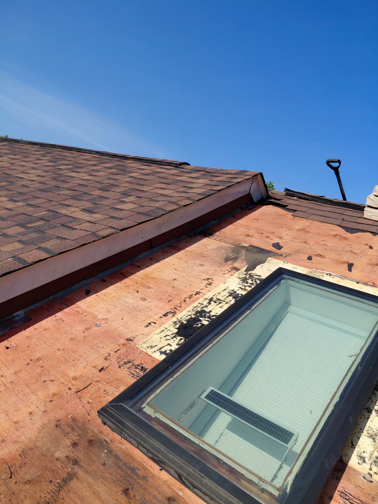 Alexandria: Residential Roof with CertainTeed Landmark Pro in Max Def Burnt Sienna by RM Banning, Inc.