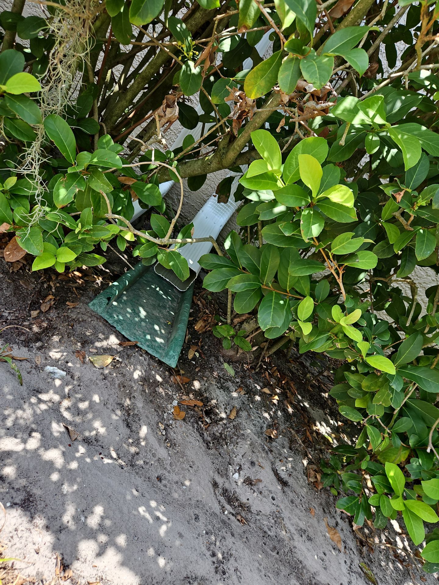 Gutter Cleaning Service and Gutter Guard in Fort Myers FL by Gutter Professors