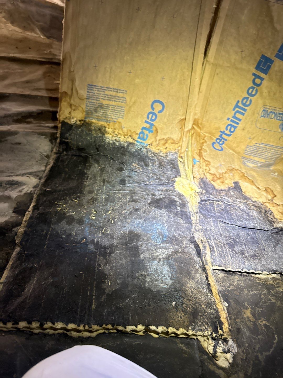 Real Estate Mold Remediation by Healthy Home Solutions