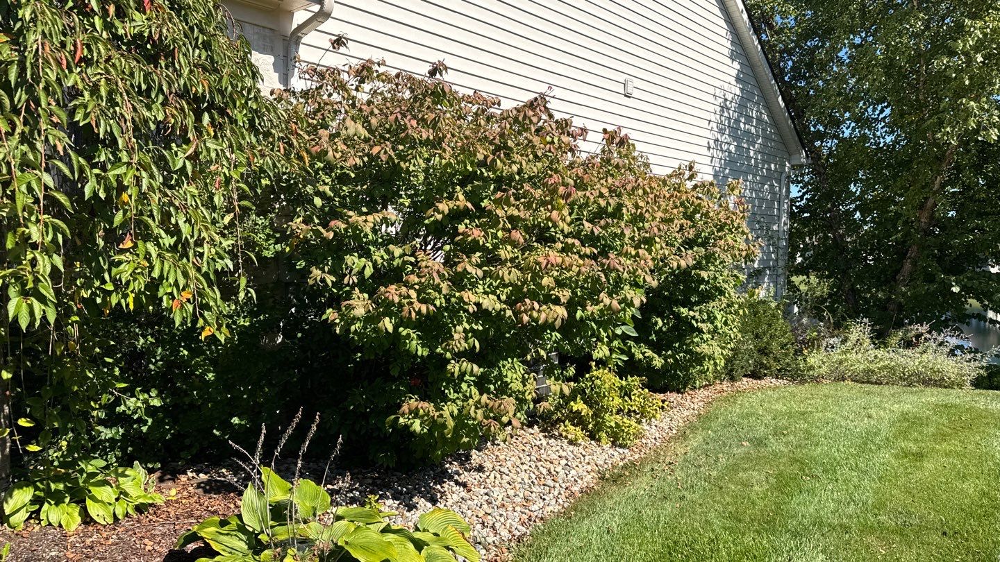 Project in Fort Wayne by Carrs lawn and landscape