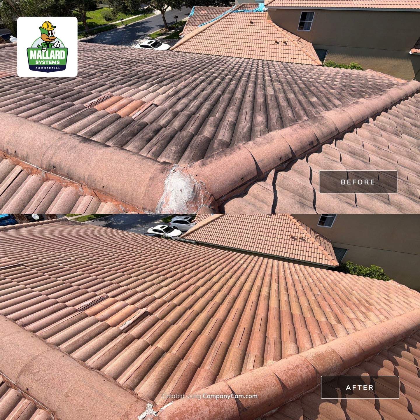 Roof Cleaning  by Mallard Systems