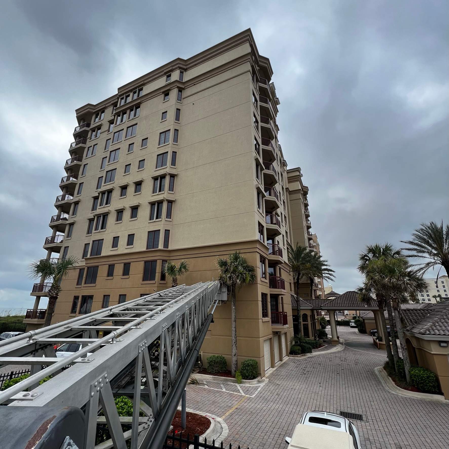 Palm Trimming | Landmark Condominiums by ProGreen Services