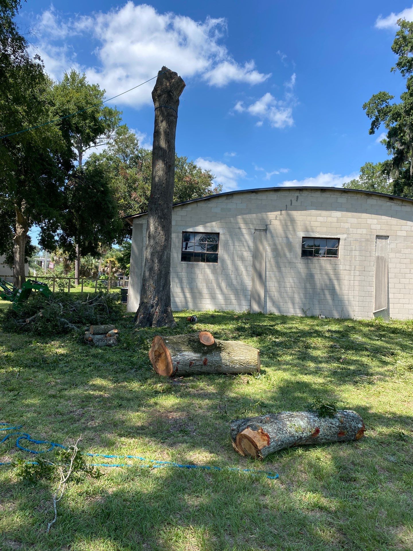 Commercial Property | Clean Up & Tree Removal by ProGreen Services