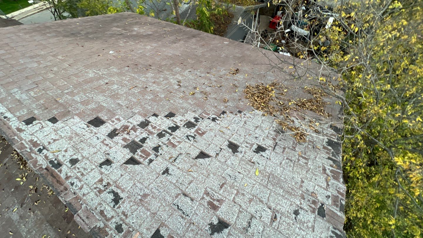 Estate Gray Shingles by Reimagine Roofing
