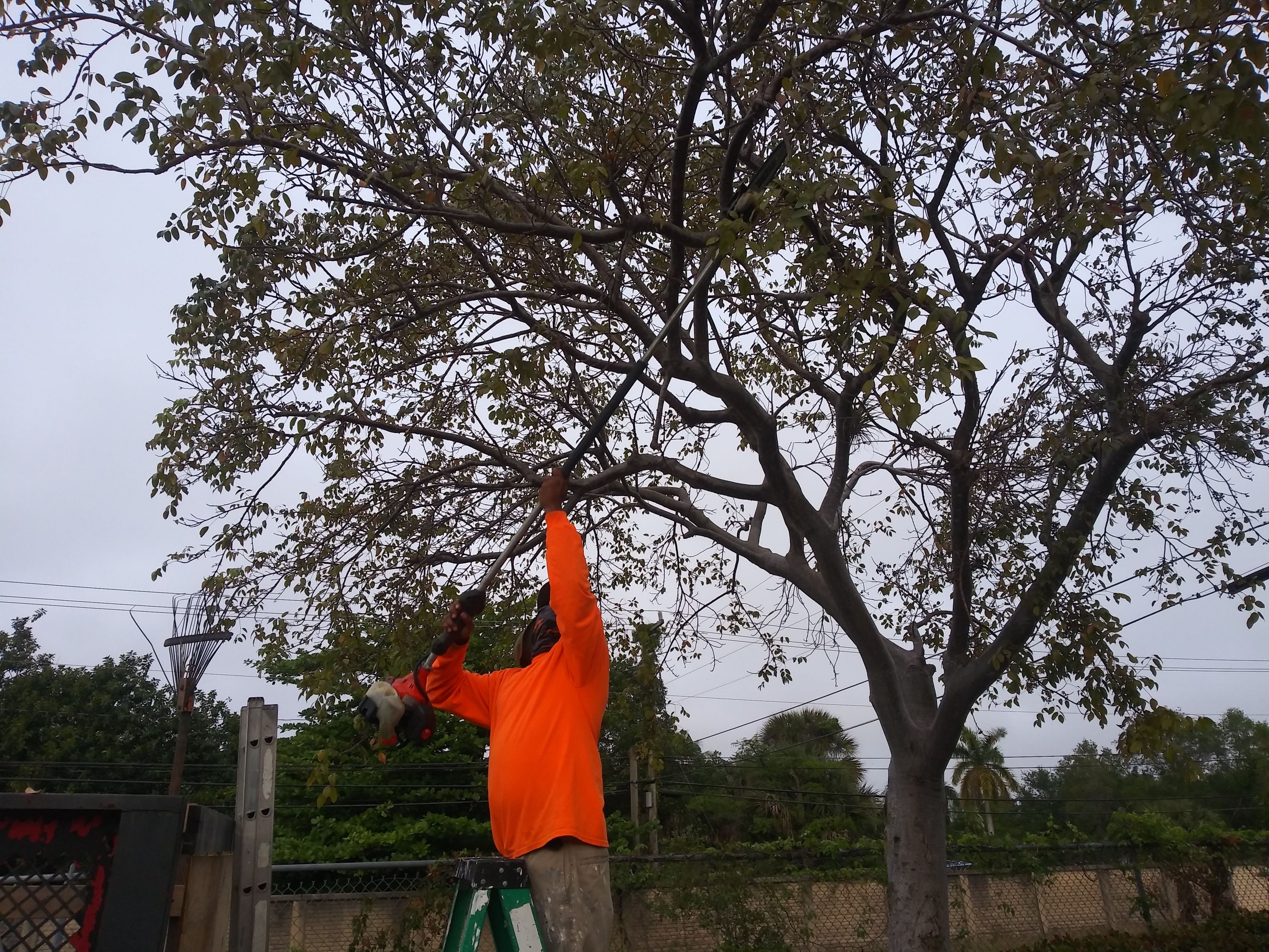 General Maintenance by
M.A.B. Landscaping & Property Maintenance