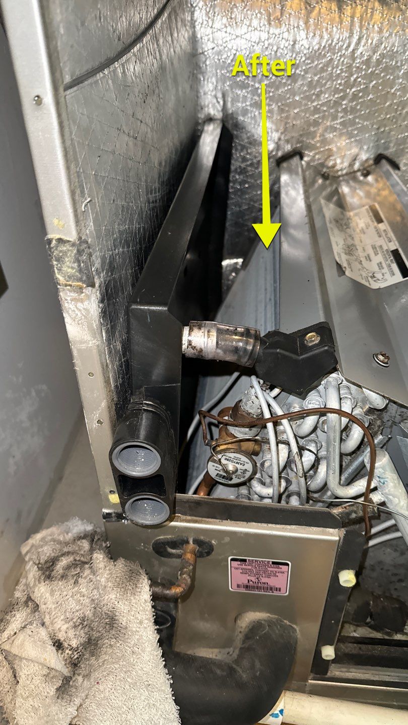 Air Duct Cleaning in Tavares by Hygienic Air, Inc
