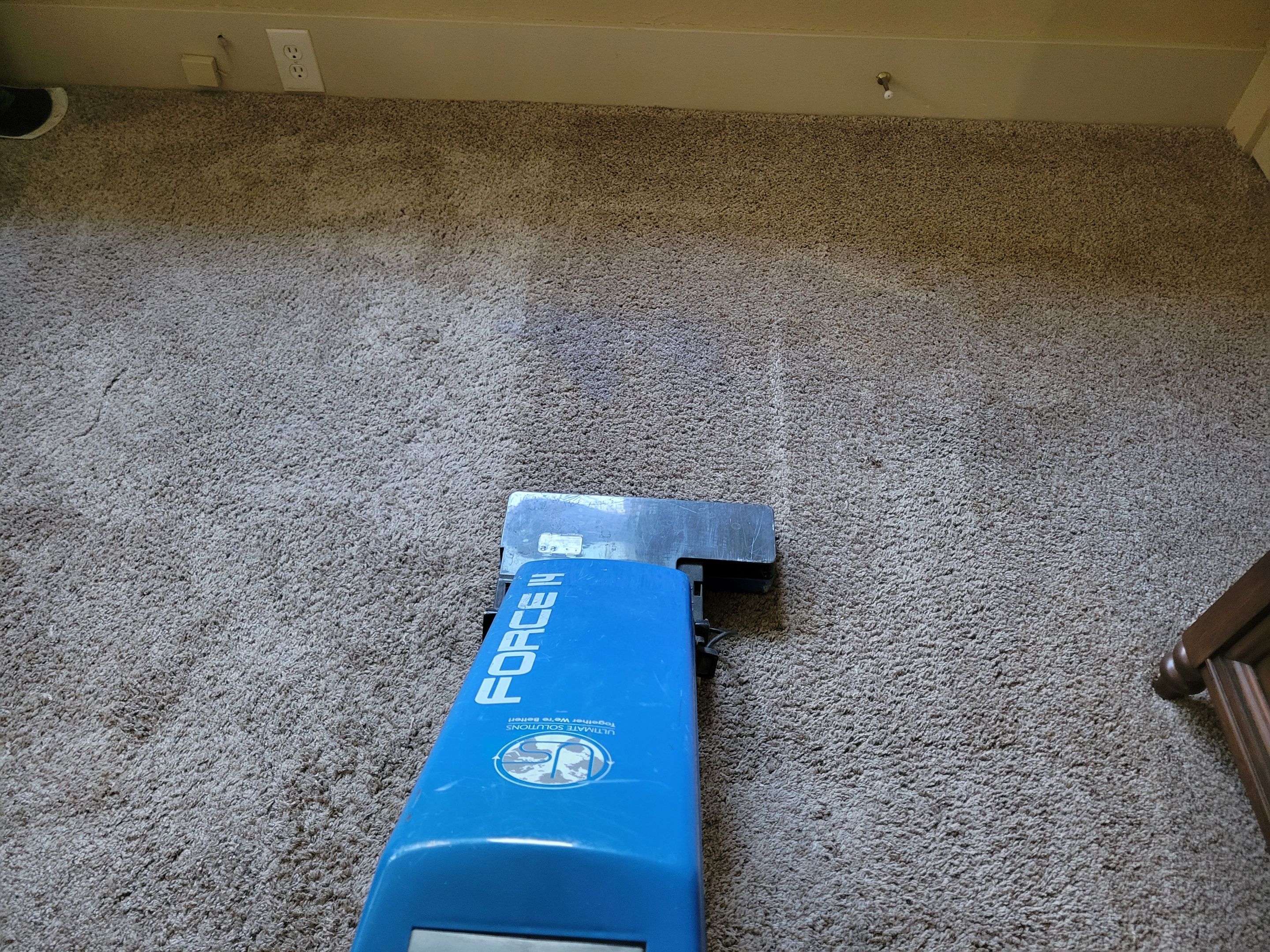 Pet Treatment and Carpet Cleaning by Ardent Carpet Restore LLC