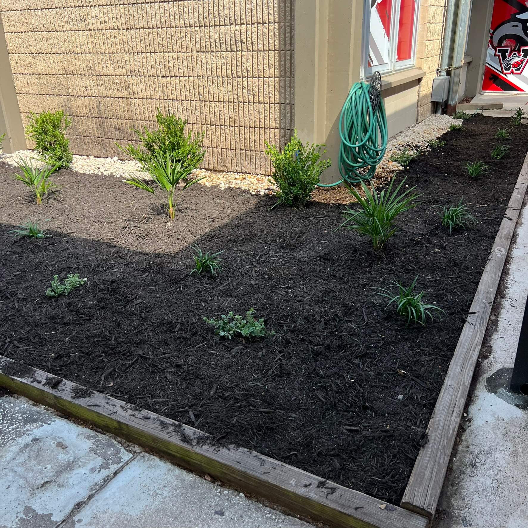 Landscape Install | Wilkinson JHS by ProGreen Services
