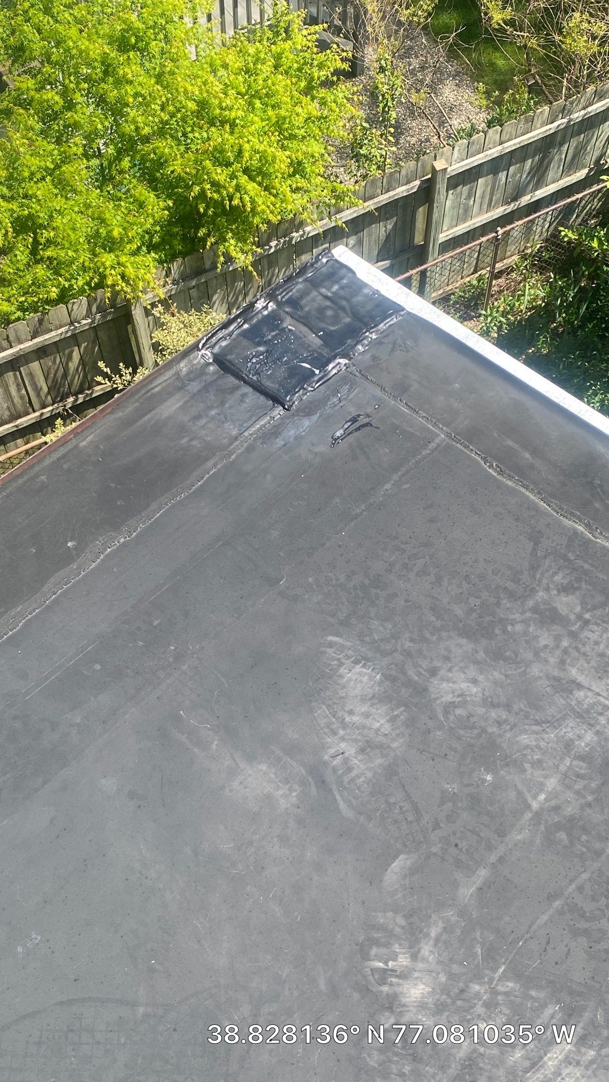 Alexandria: Mule Hide TPO Flat Roof by RM Banning, Inc.