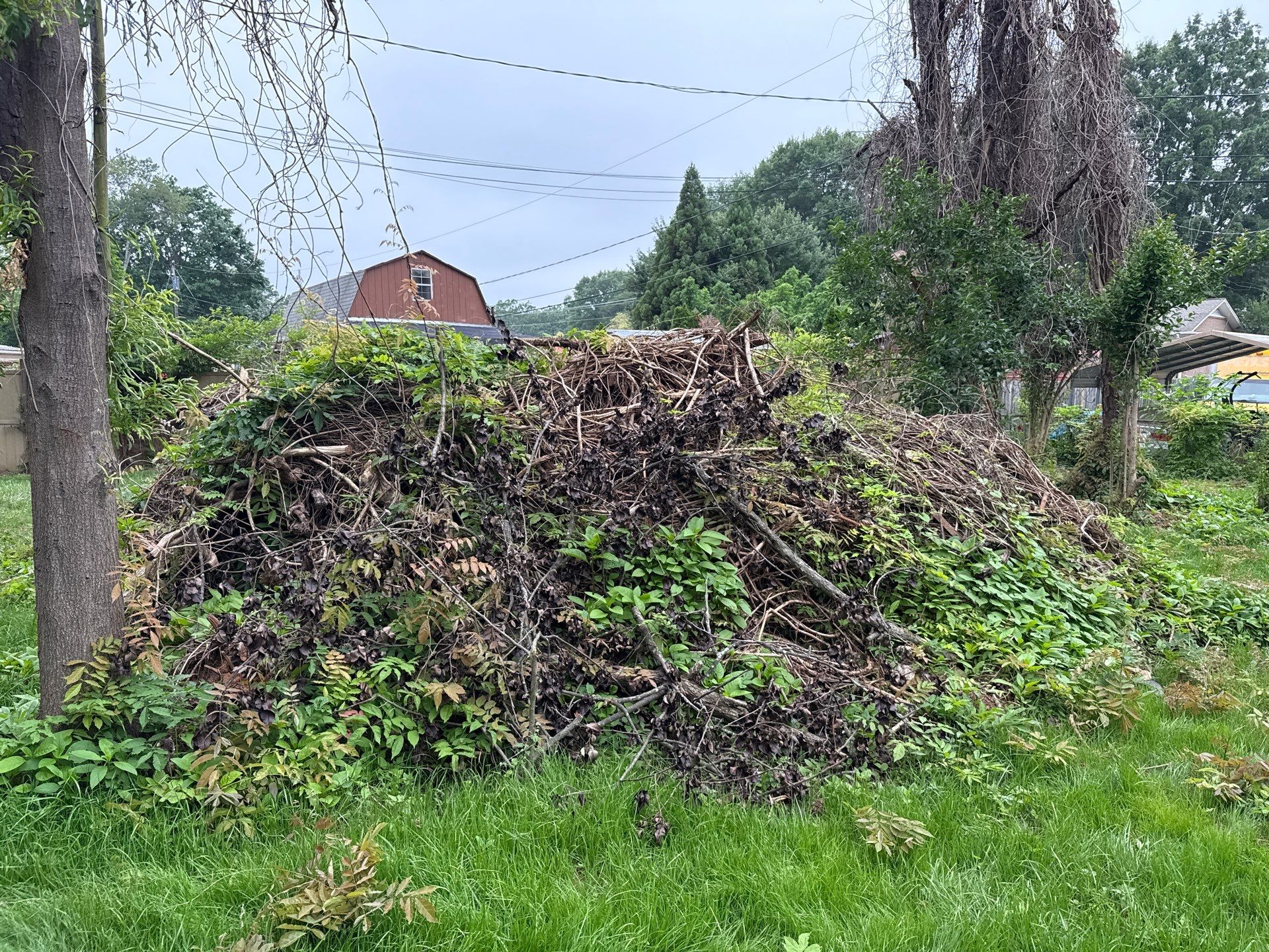 Project in Charlotte by Badger Hauling