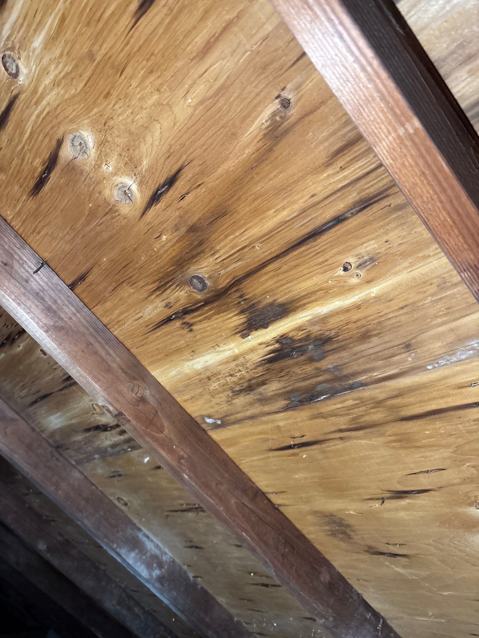 Roof Replacement using Owens Corning Slatestone Gray by 180 Contractors