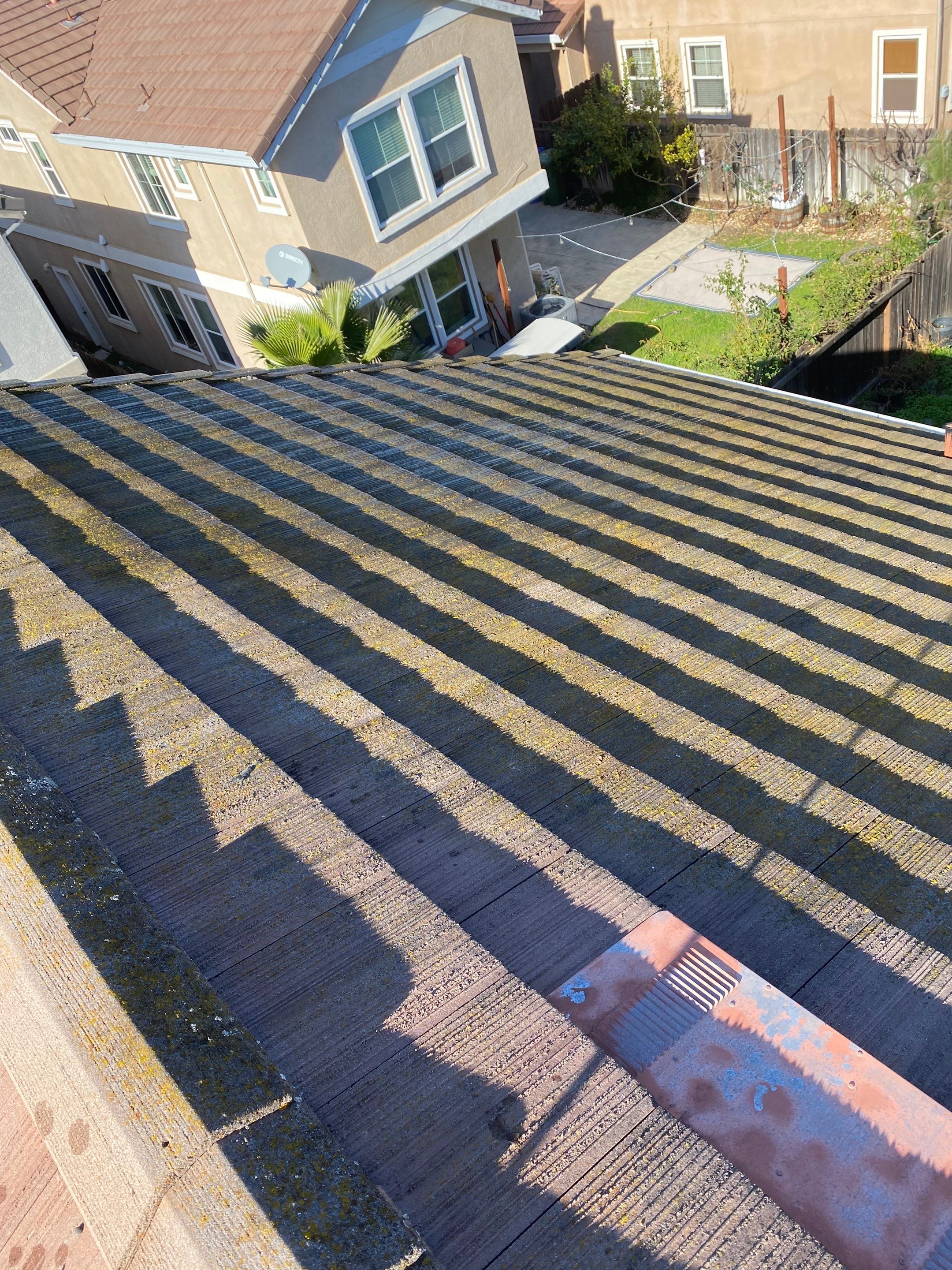 Moss Removal by Top Elevation