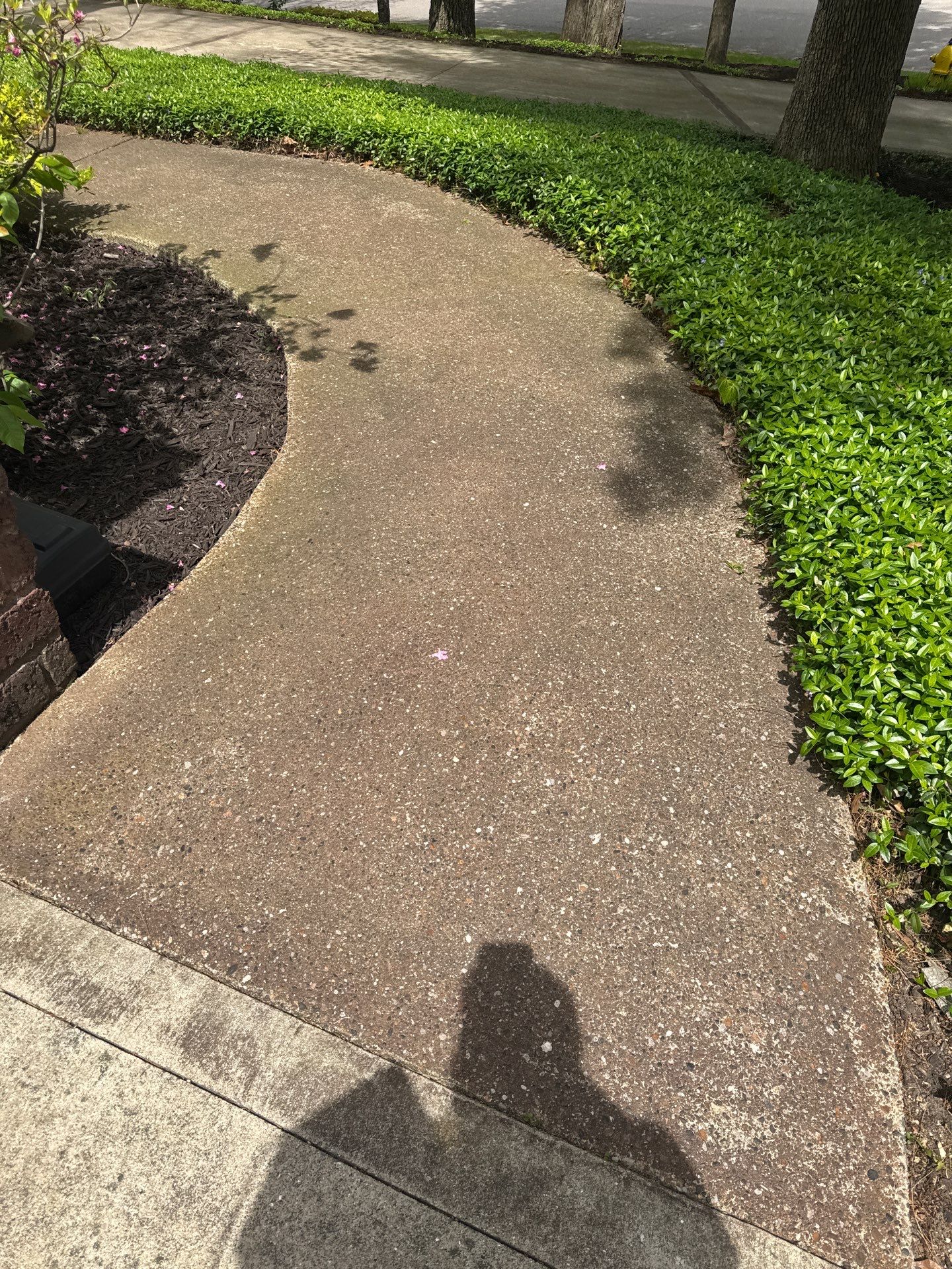 Concrete Driveway and Walkway Staining With Espresso Borders in Grand Rapids by Gordon Painting