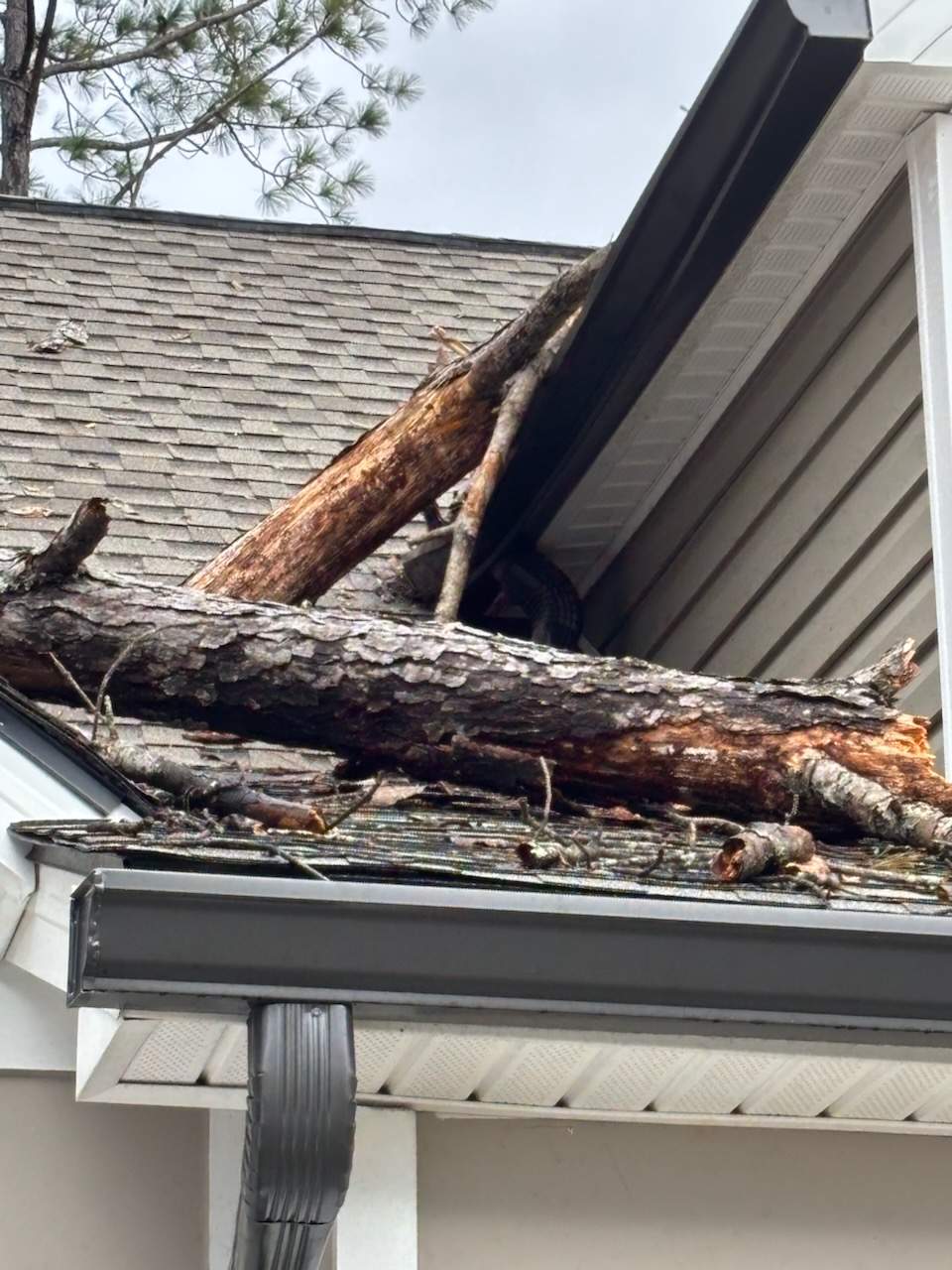 Emergency Roof Tarping โ๏ธ๐ by Georgia Roof Advisors
