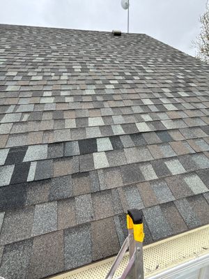 Project in Treynor