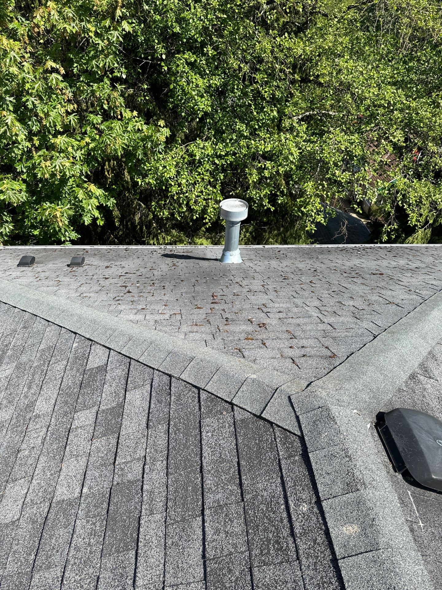 Project in Seattle by Peaks and Valleys Construction
