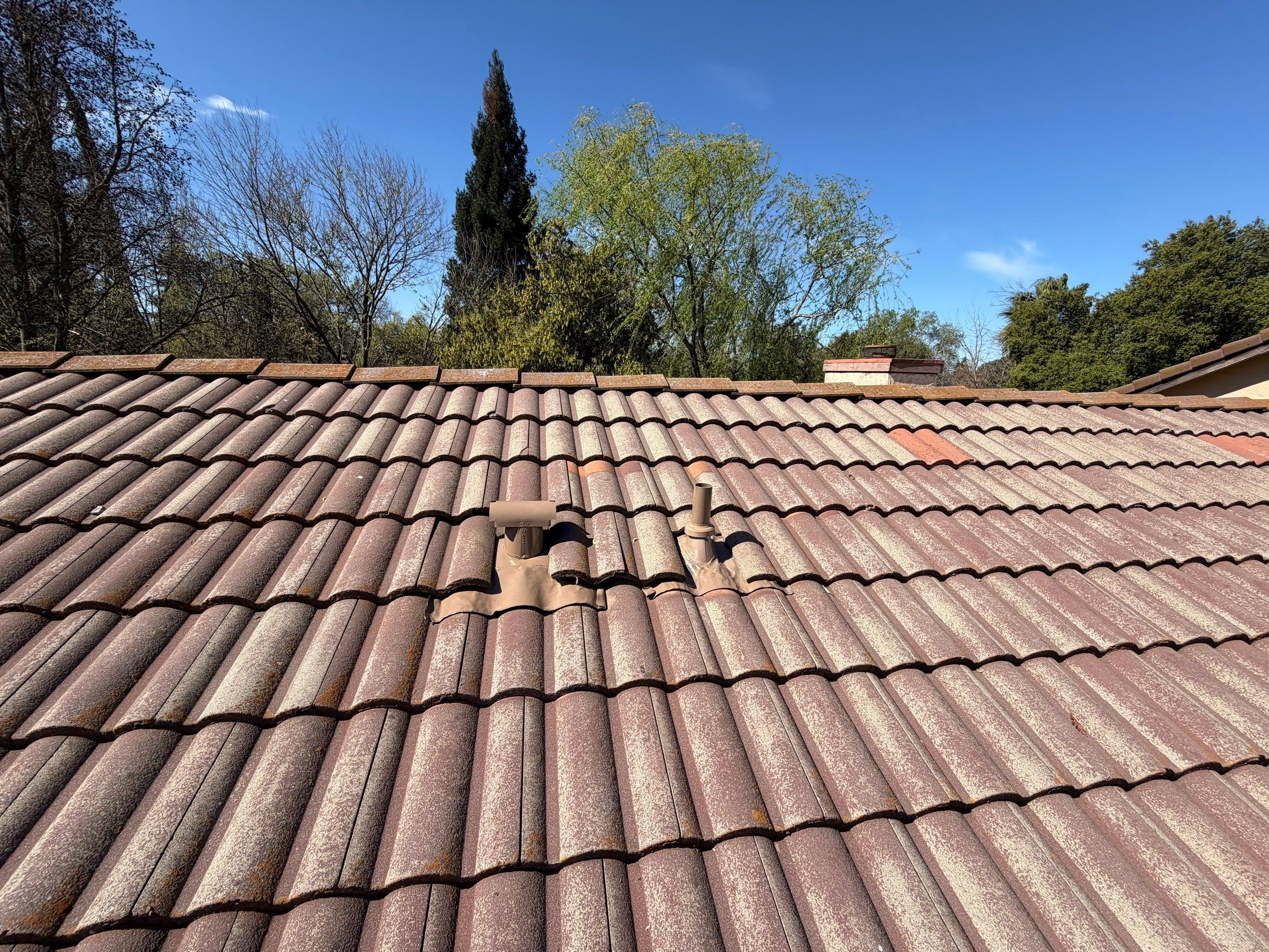 Project in Citrus Heights  by NuLead Construction Inc