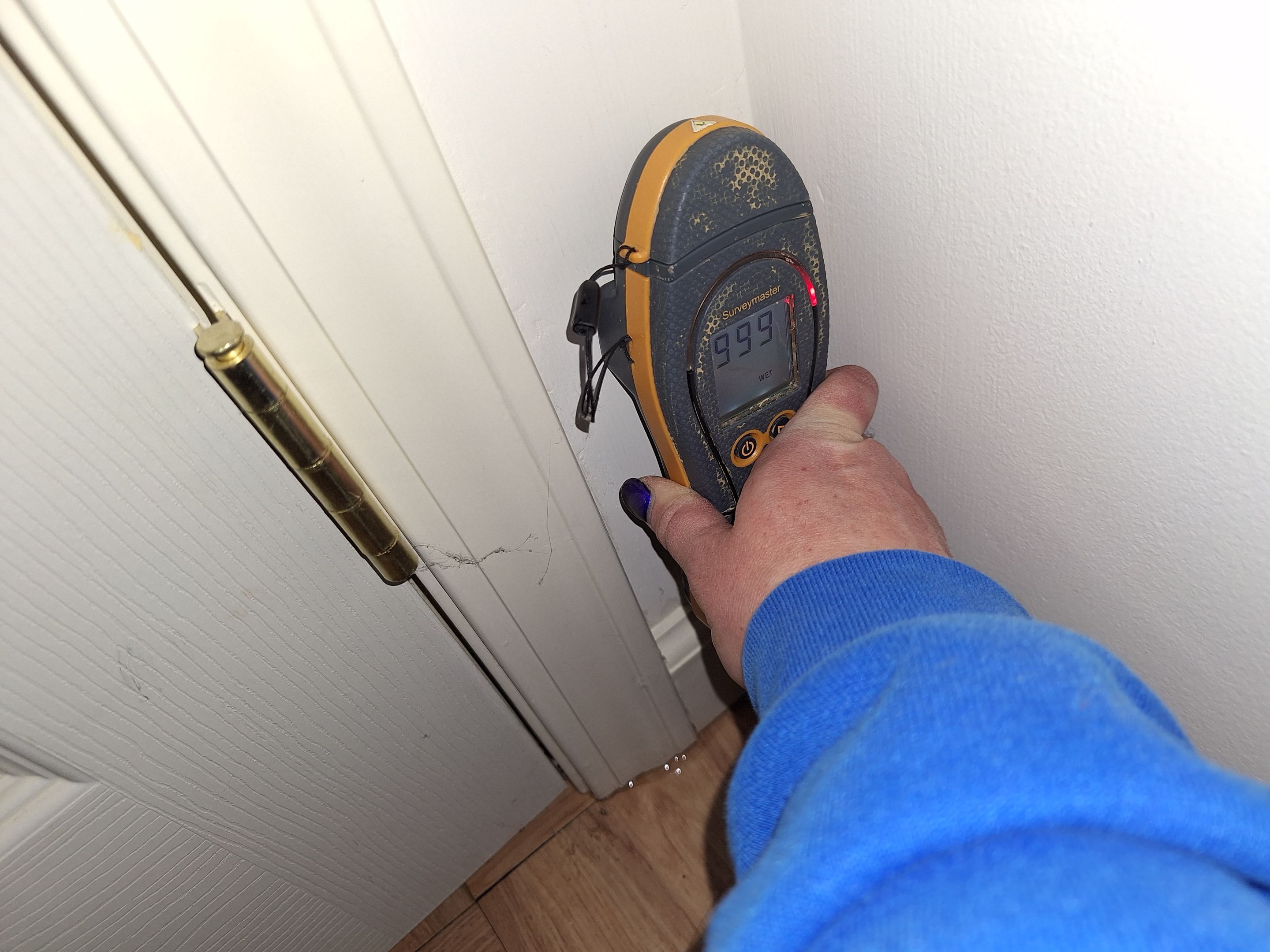 Water Mitigation and Restoration by ANR Restoration