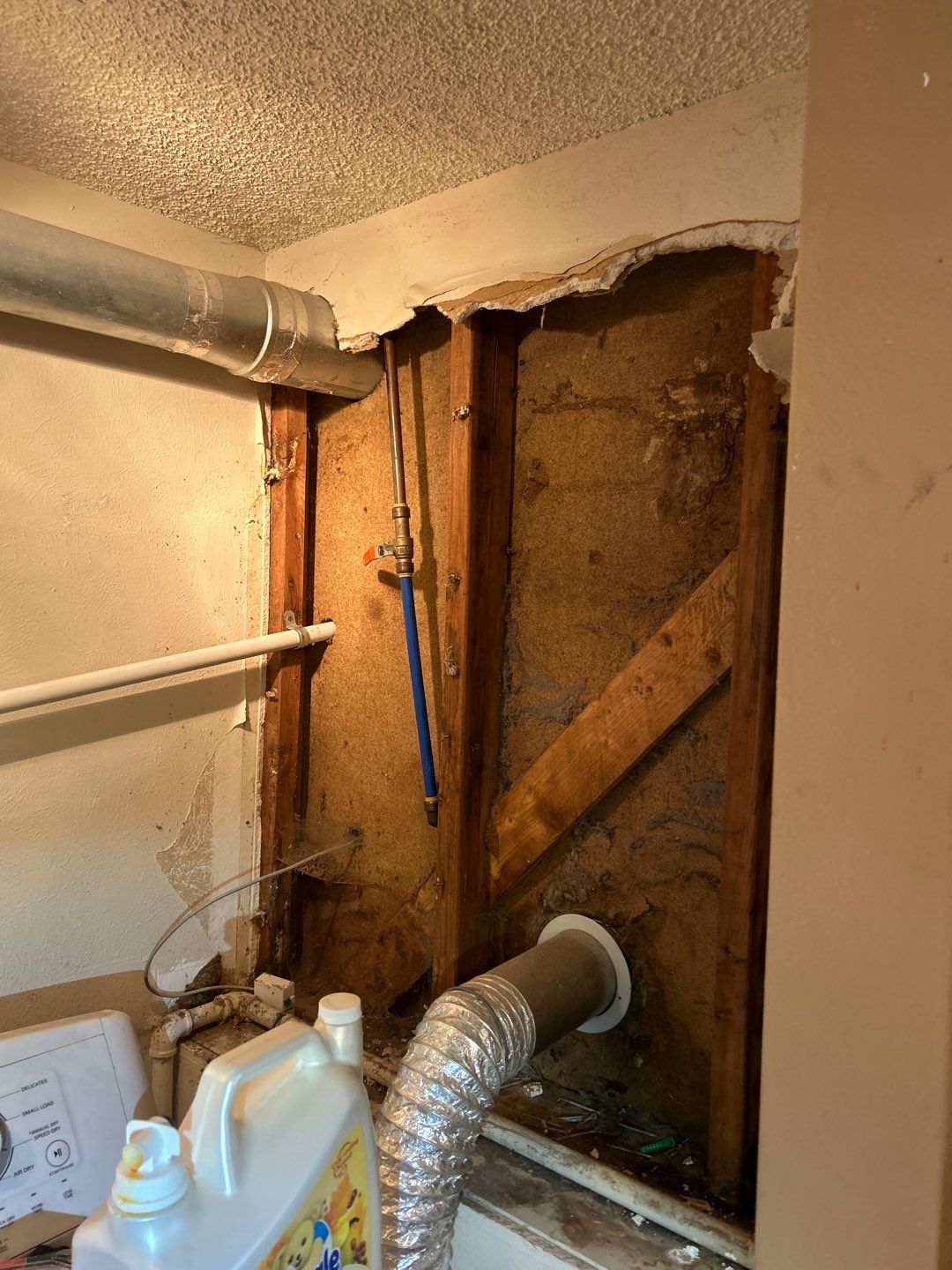 Mold Damage Project in Littleton by Accountable Home Services