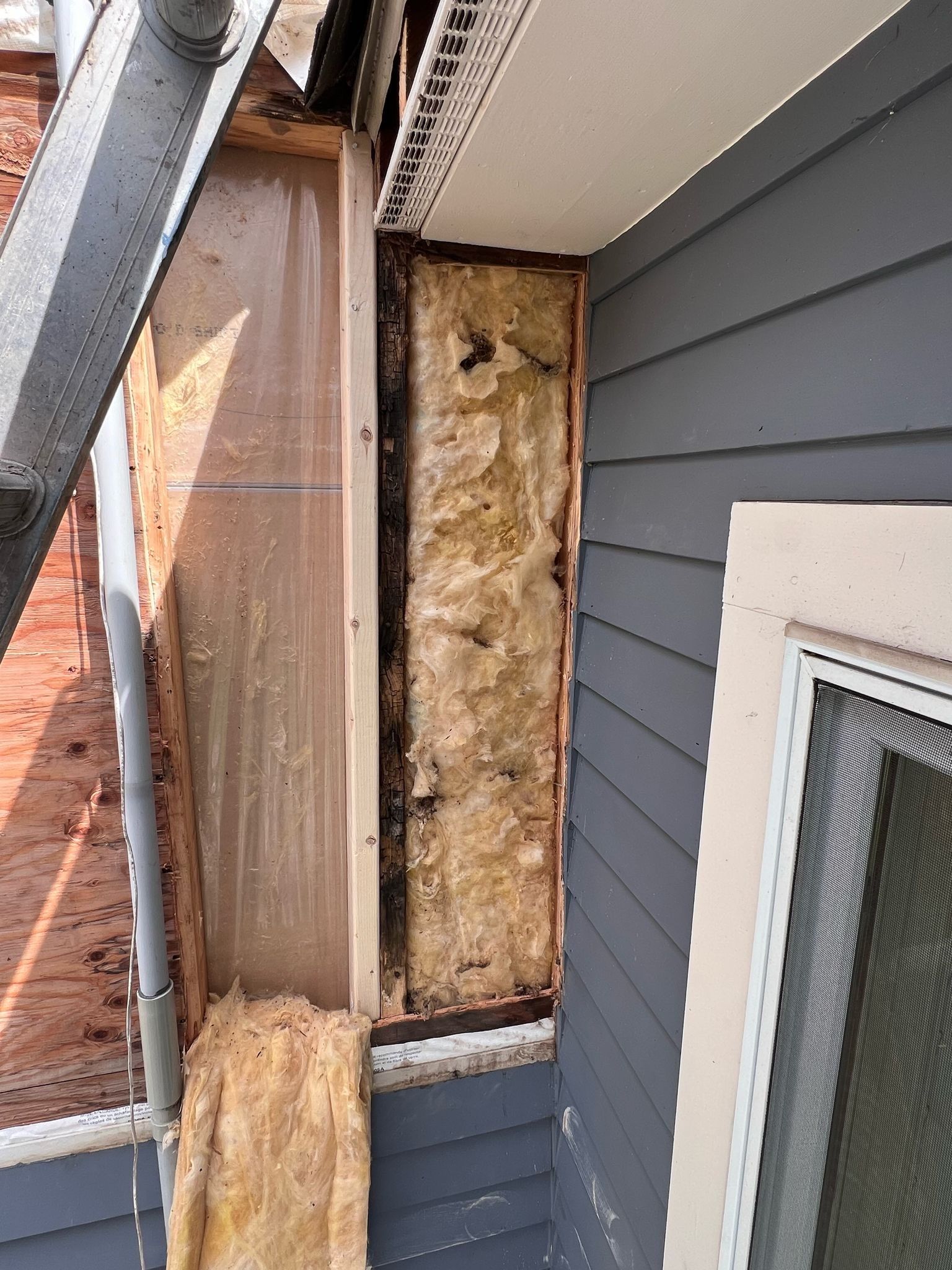 Exterior Painting & Carpentry Repairs by EXCELLENCE | CARTO