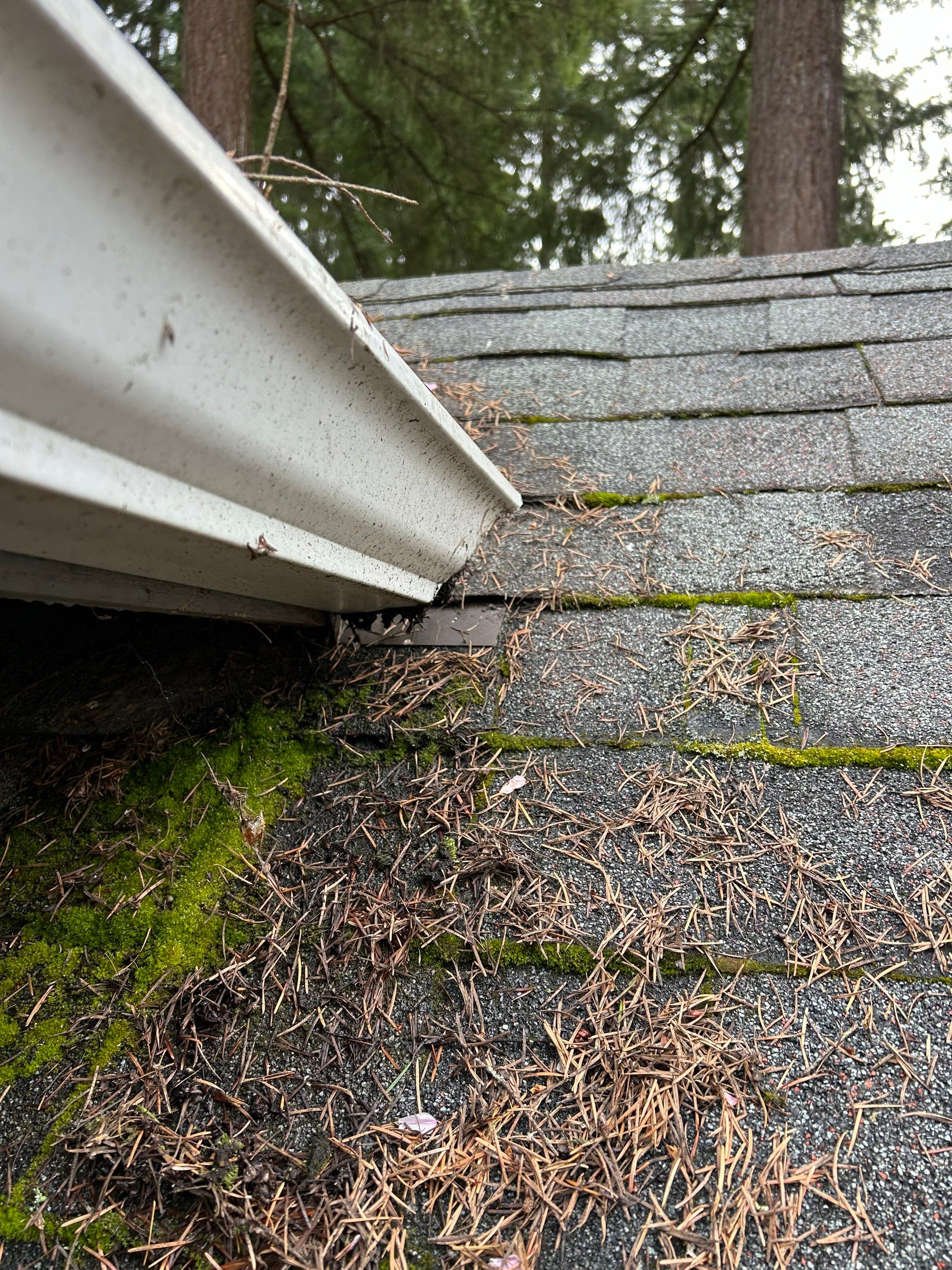 Project in Redmond by Peaks and Valleys Construction