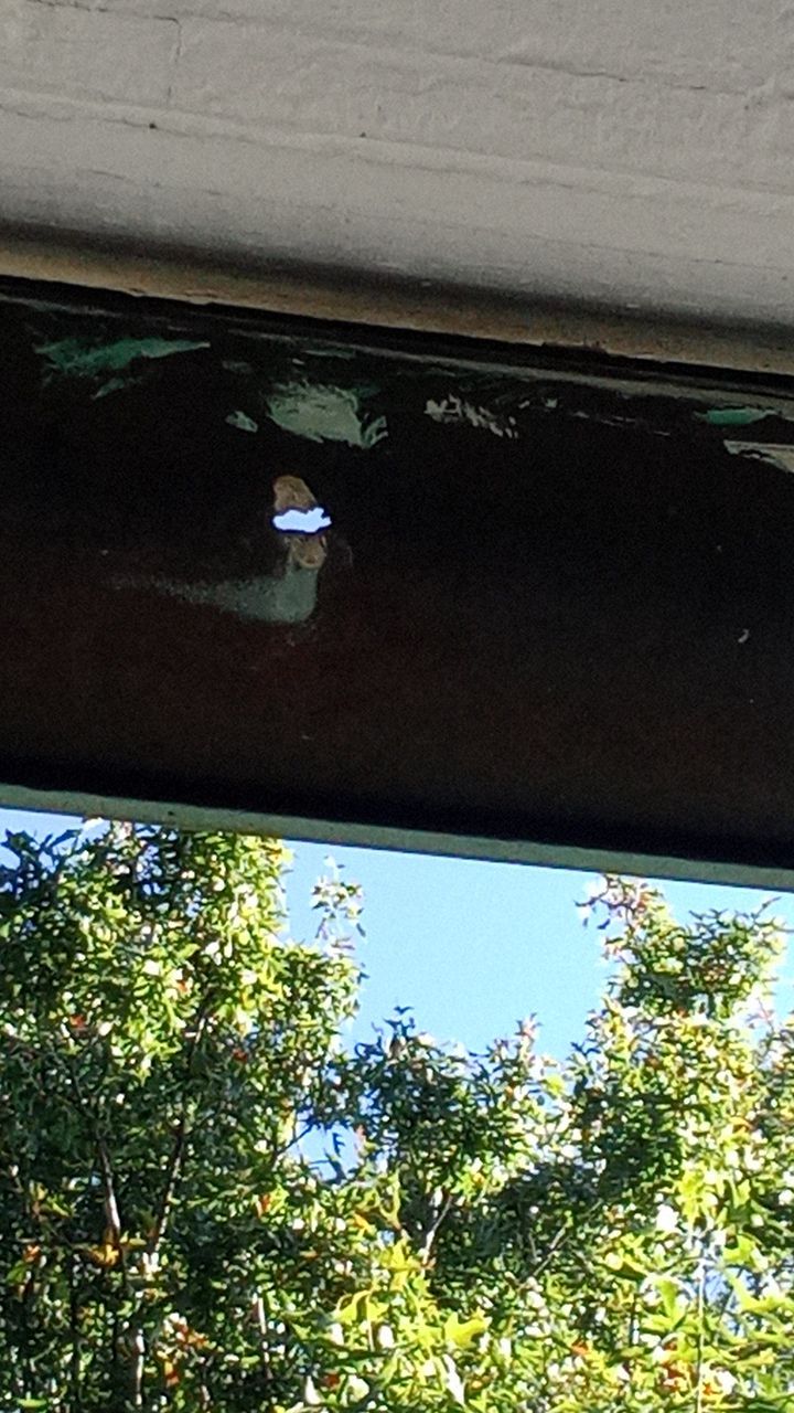 Commercial Roofing Installation using EPDM  by A Plus Exterior