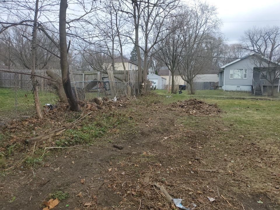 Tree Removal using Tree Removal by Mike Jones & Sons Tree Service LLC 