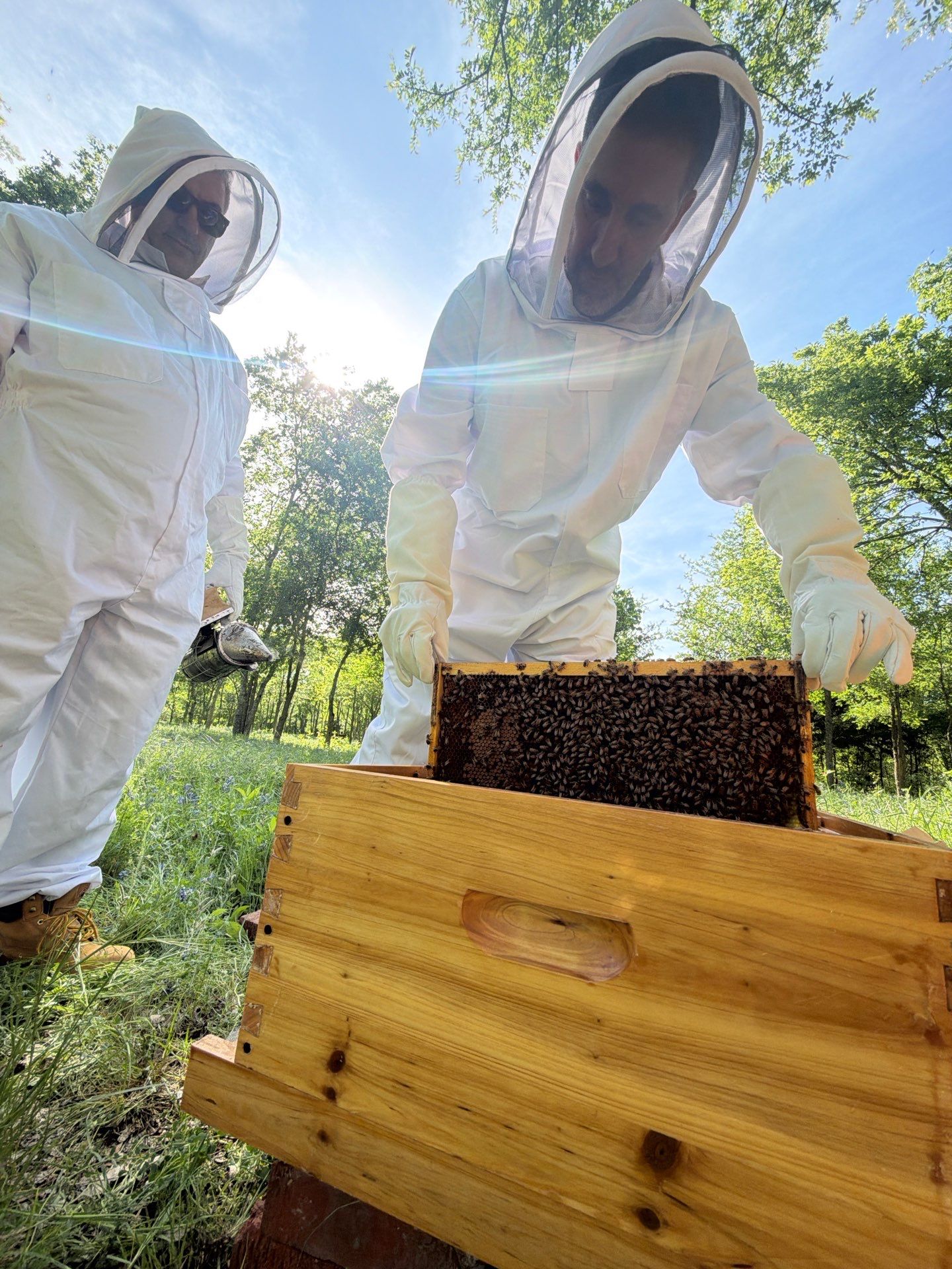 New Beekeeper in Maypearl by Rockwall Honey Bee Company