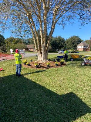 Deerwood Resident | Landscape Project 