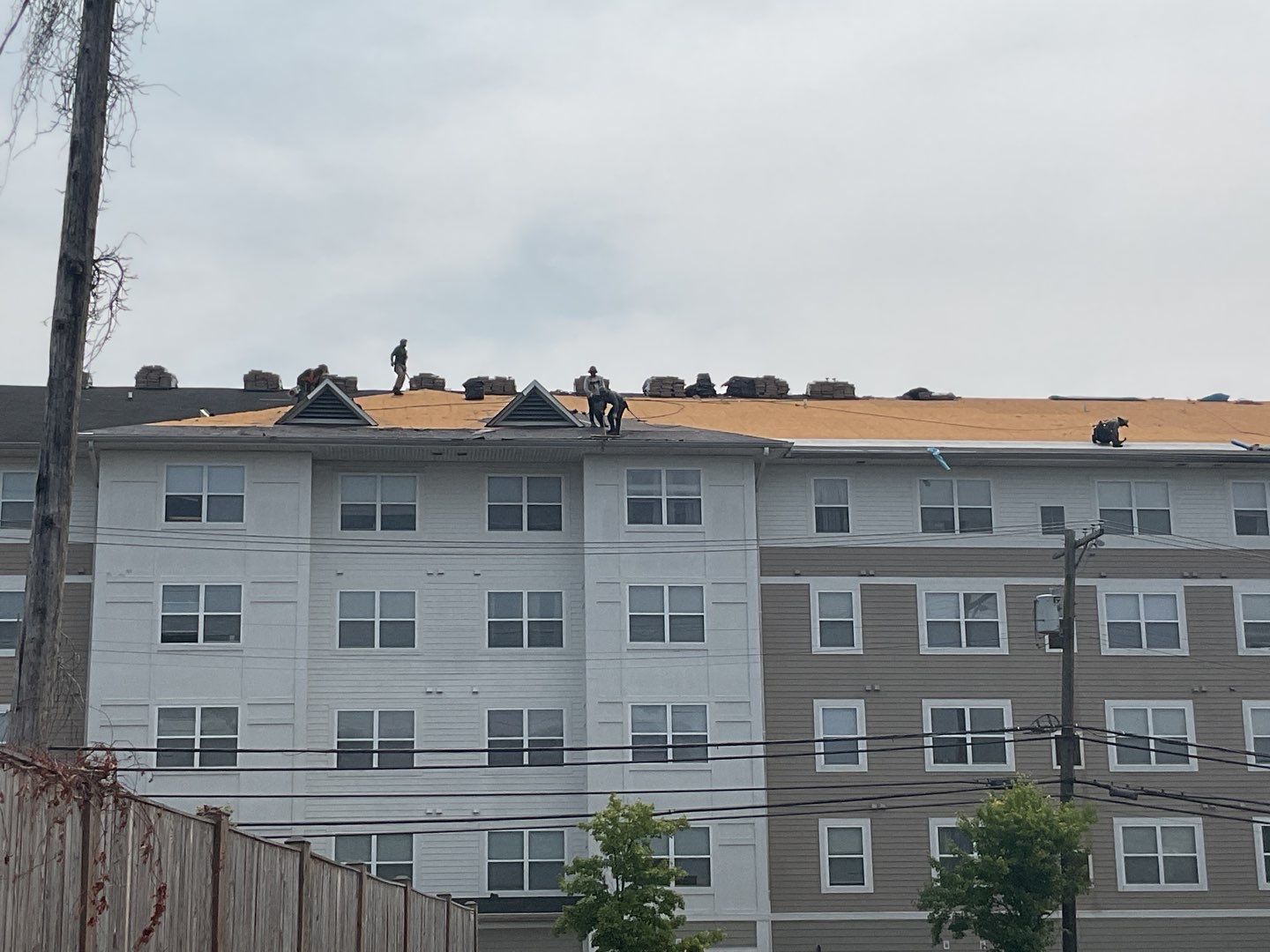 Multi-Family Commercial shingle roof by Alpha Design Services