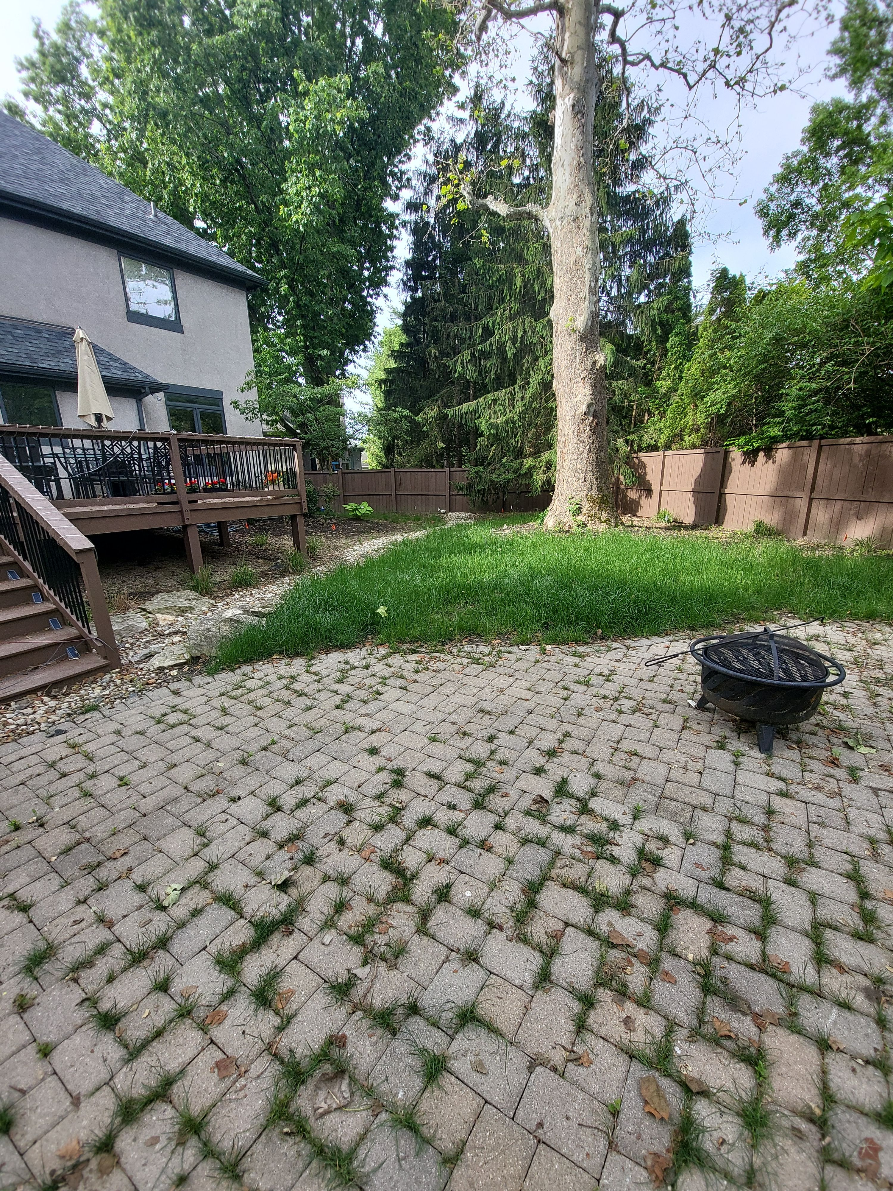 Private Pet Lawn in Worthington, OH by Southwest Greens Midwest