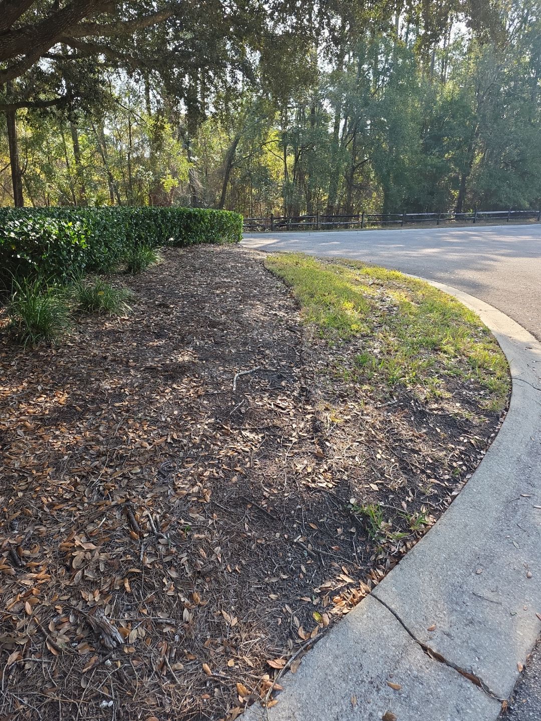 Courtyards of Deerwood | Sodding Work by ProGreen Services