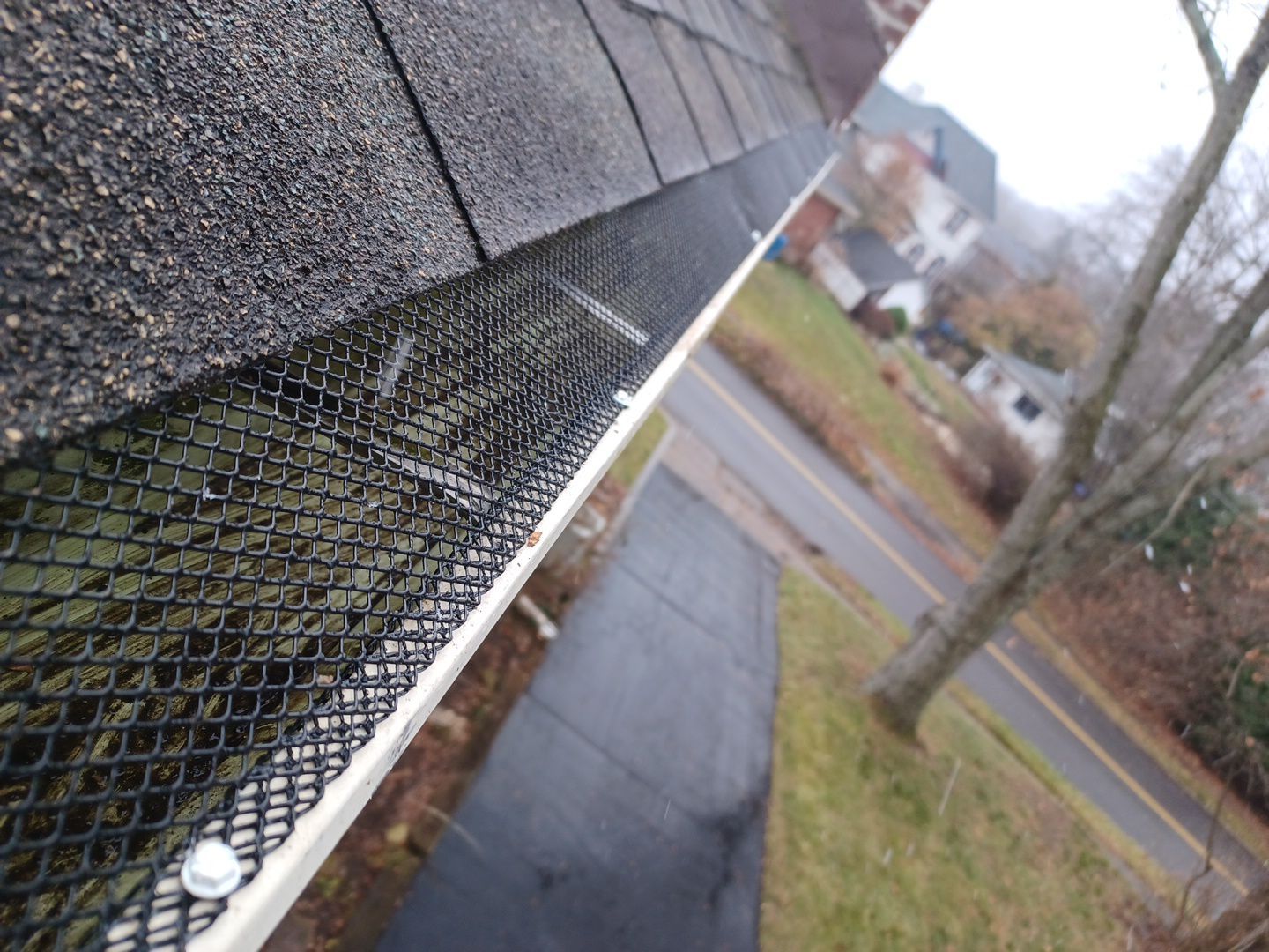 Tom Leeser by Silver Leaf Contracting 