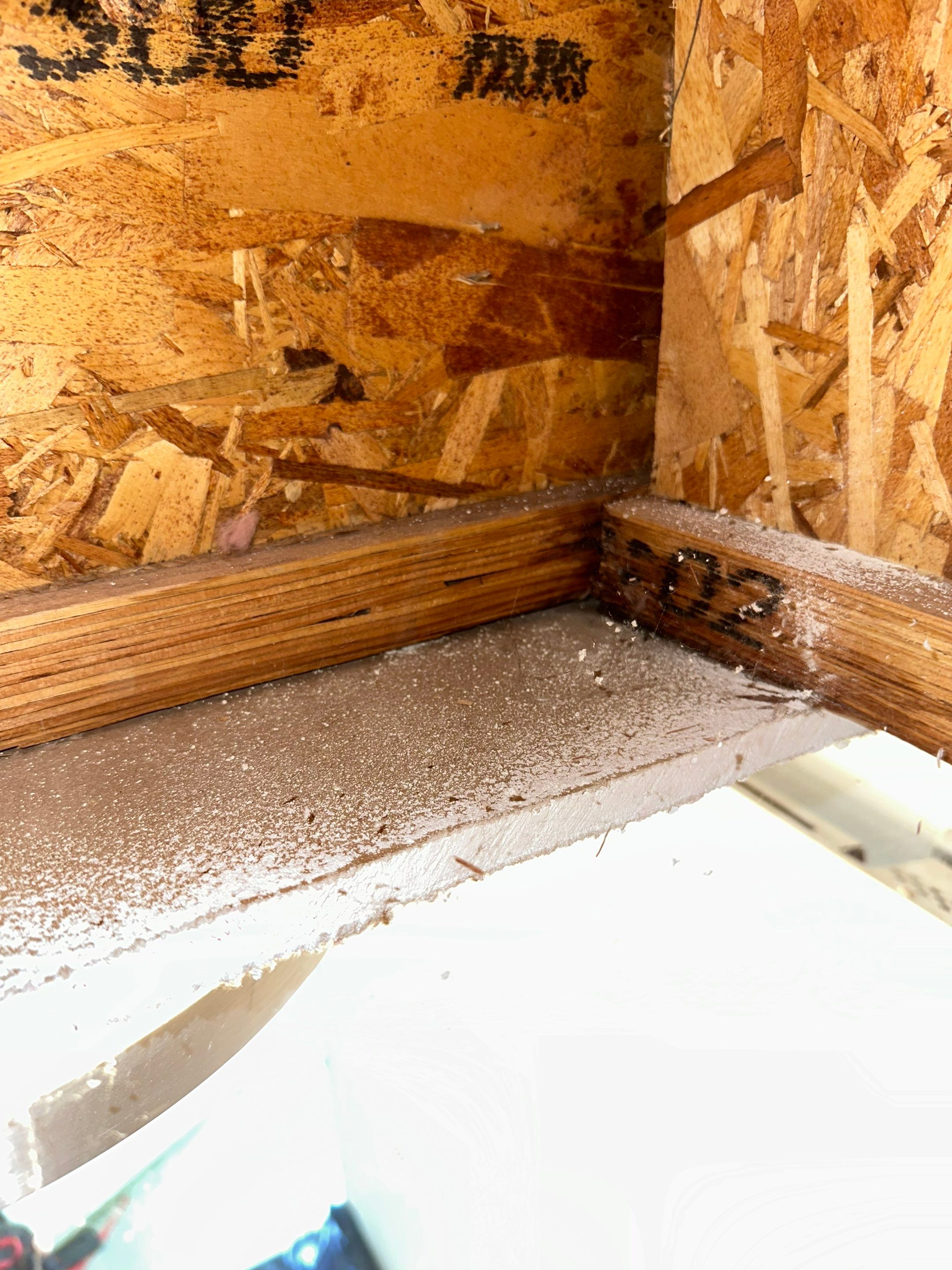 Water Damage in Denver, CO by Alpha Restoration 