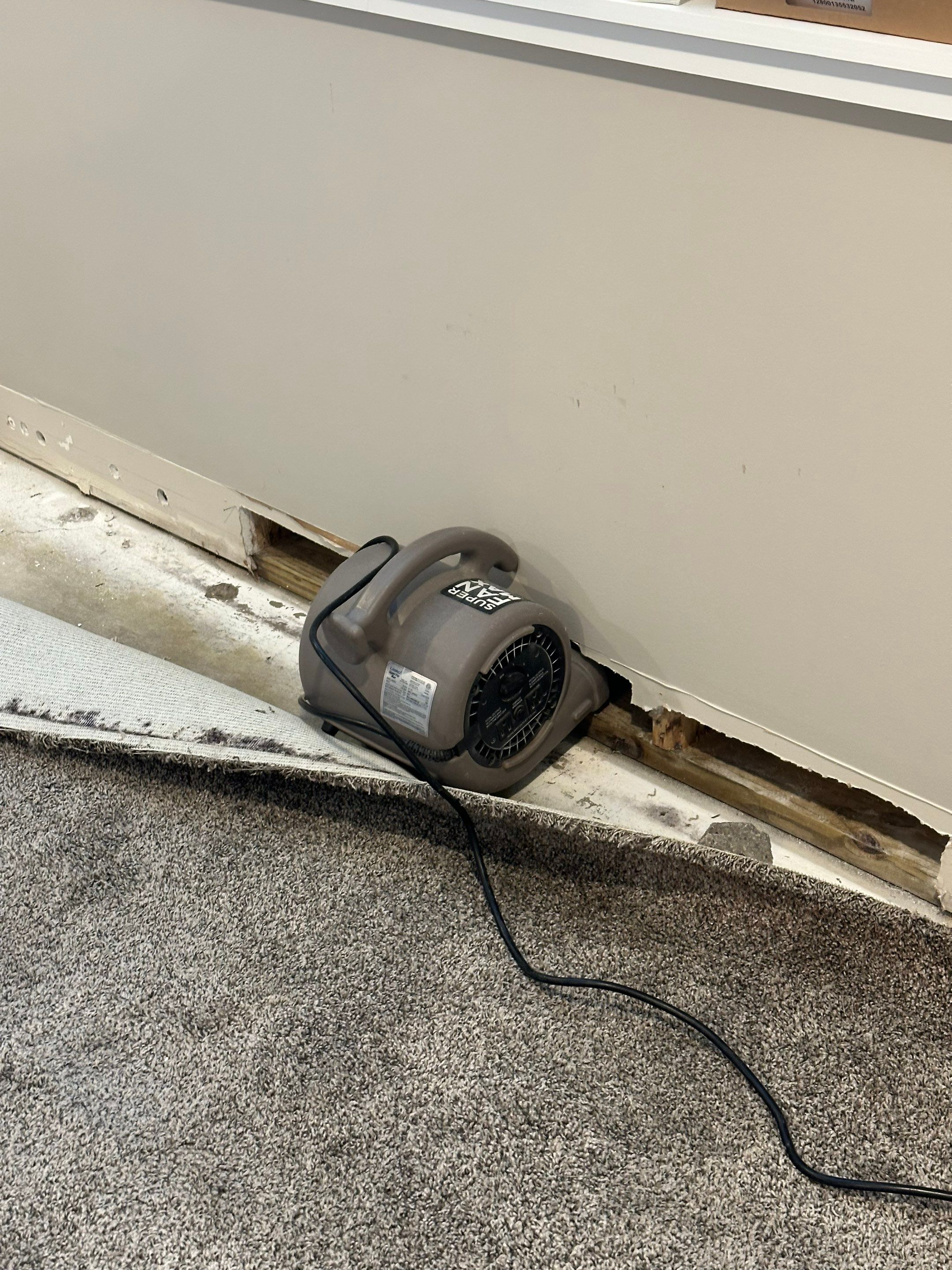 Foundation leak long term damage in new build home by BlueRed Restoration