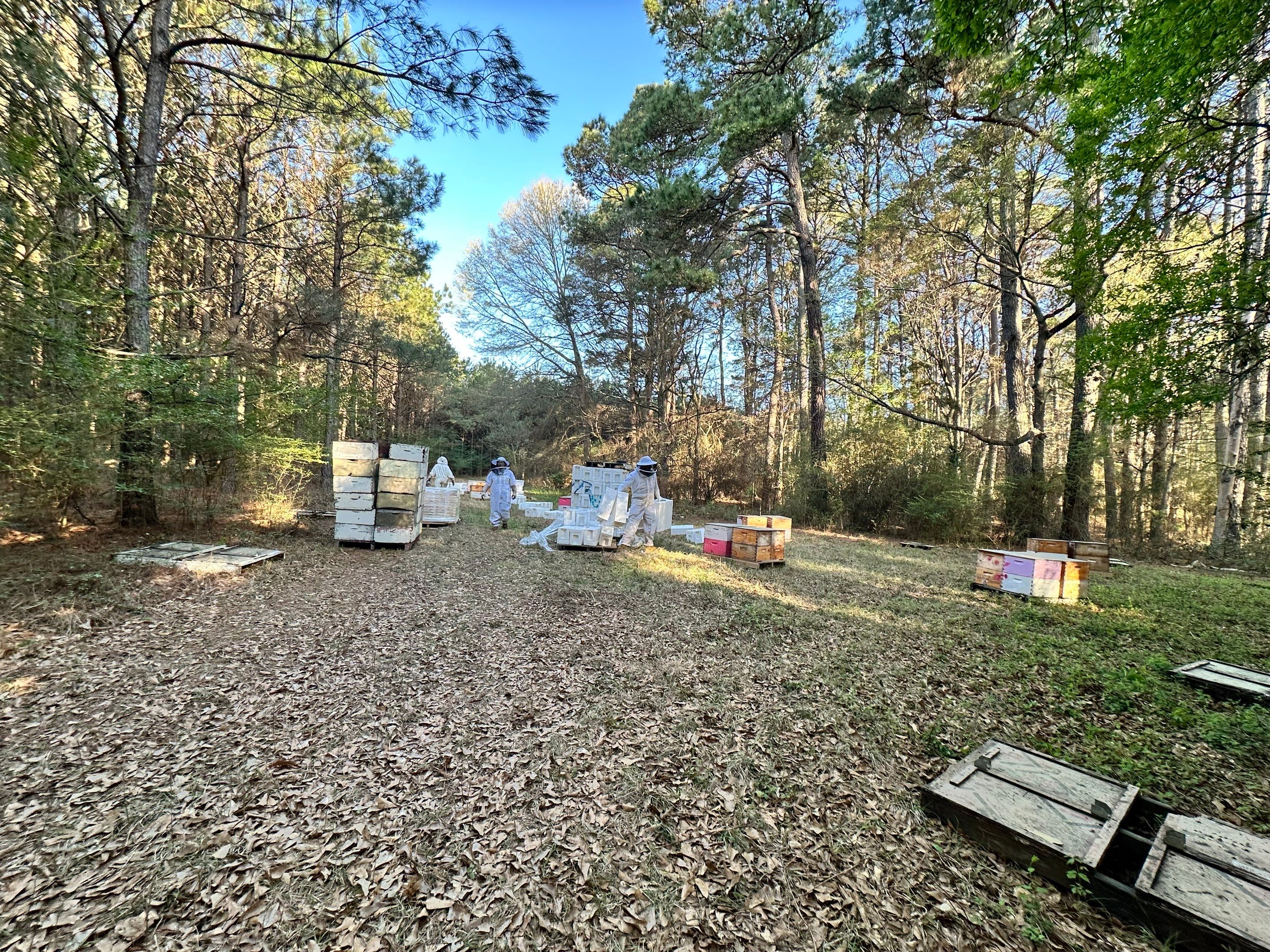 Tree Farm Apiary by Rockwall Honey Bee Company