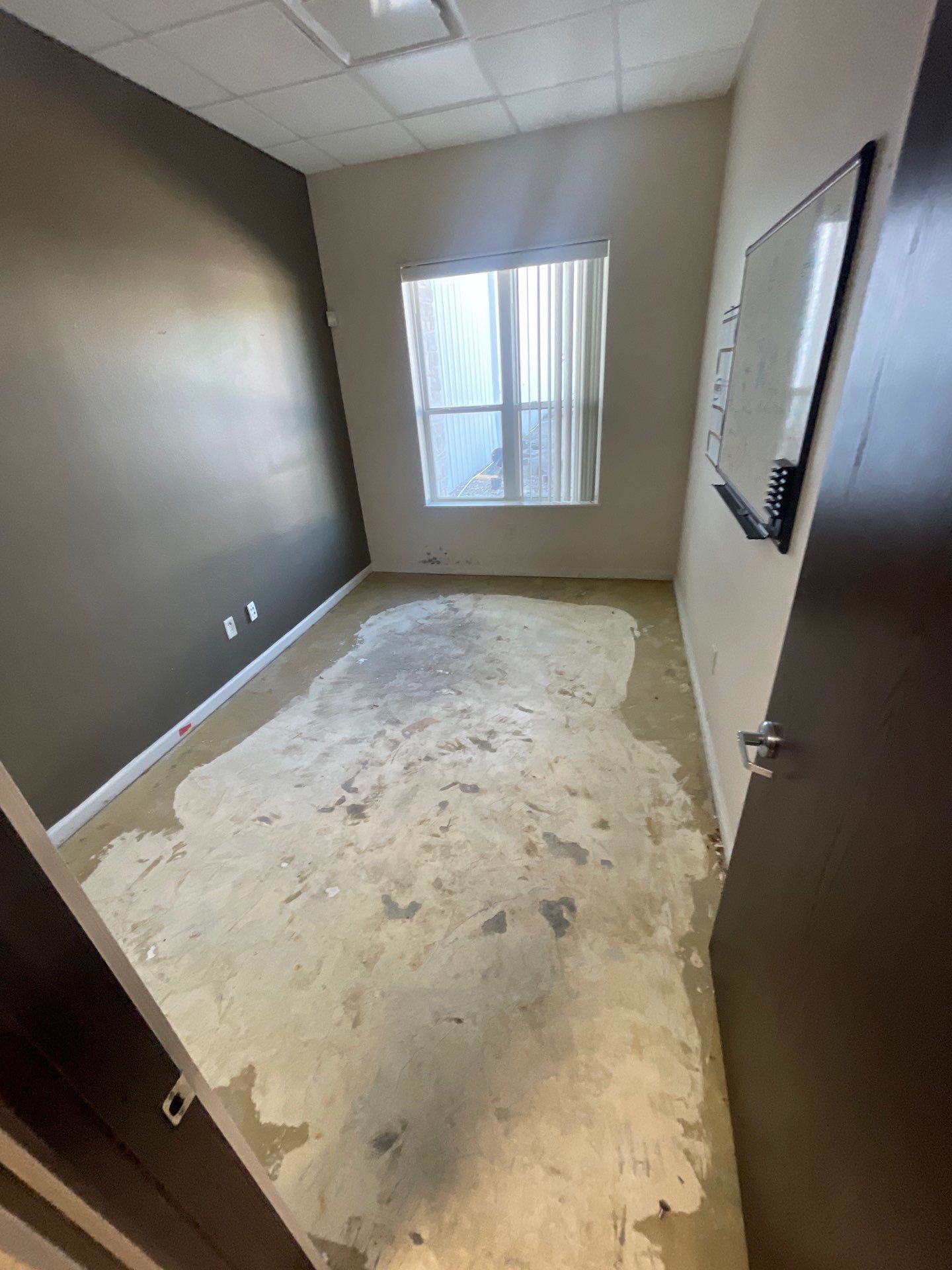 Full-Service Commercial Office Remodel by Majesty Construction