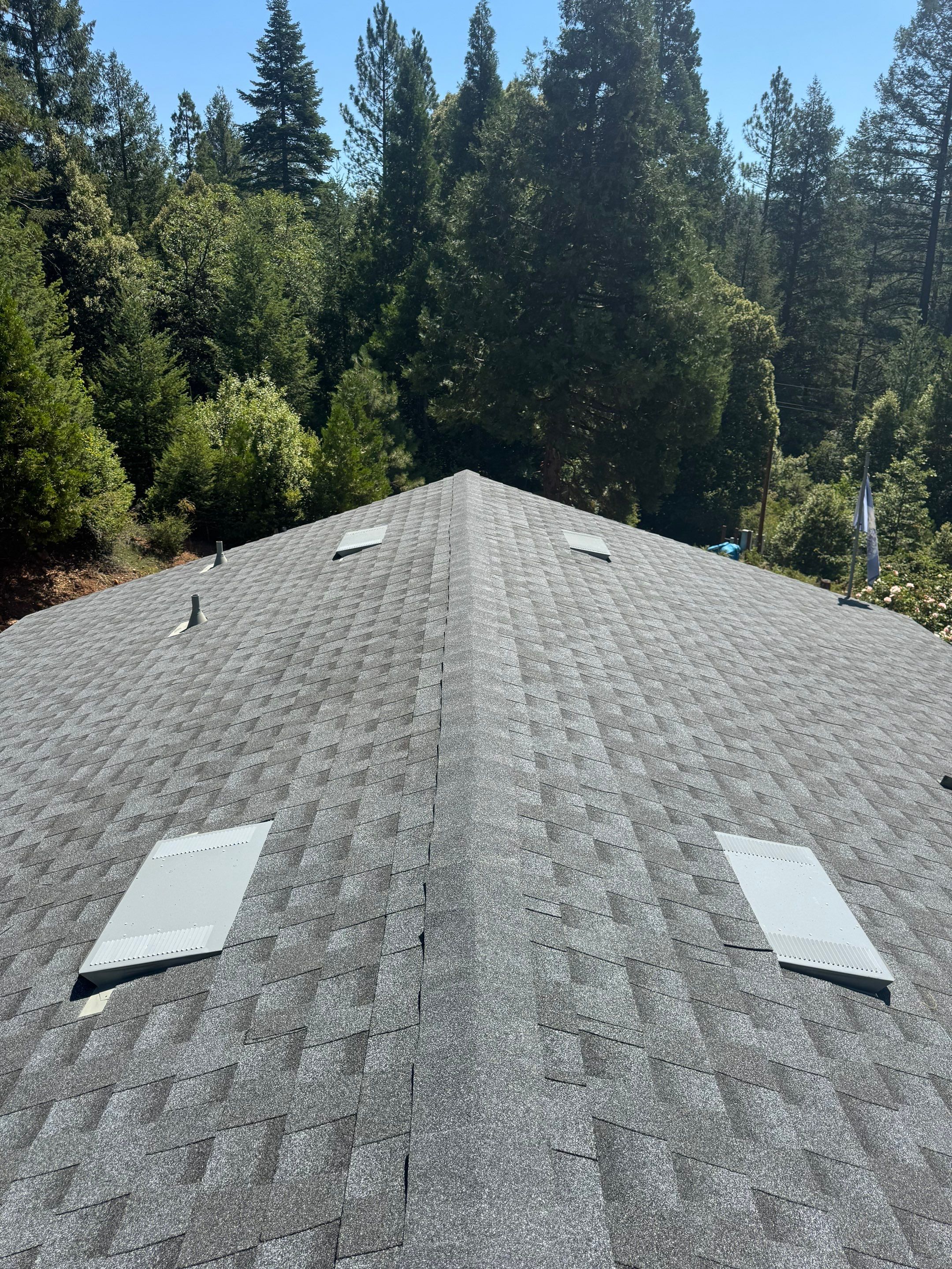 Magalia Shingle by Butte Roofing Company License #567600