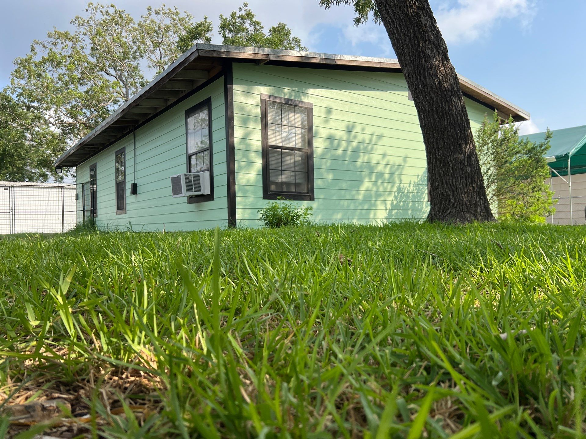 Green with Envy by Bayfront Roofing and Construction