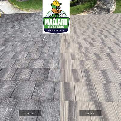 Flat Tile Roof Cleaning