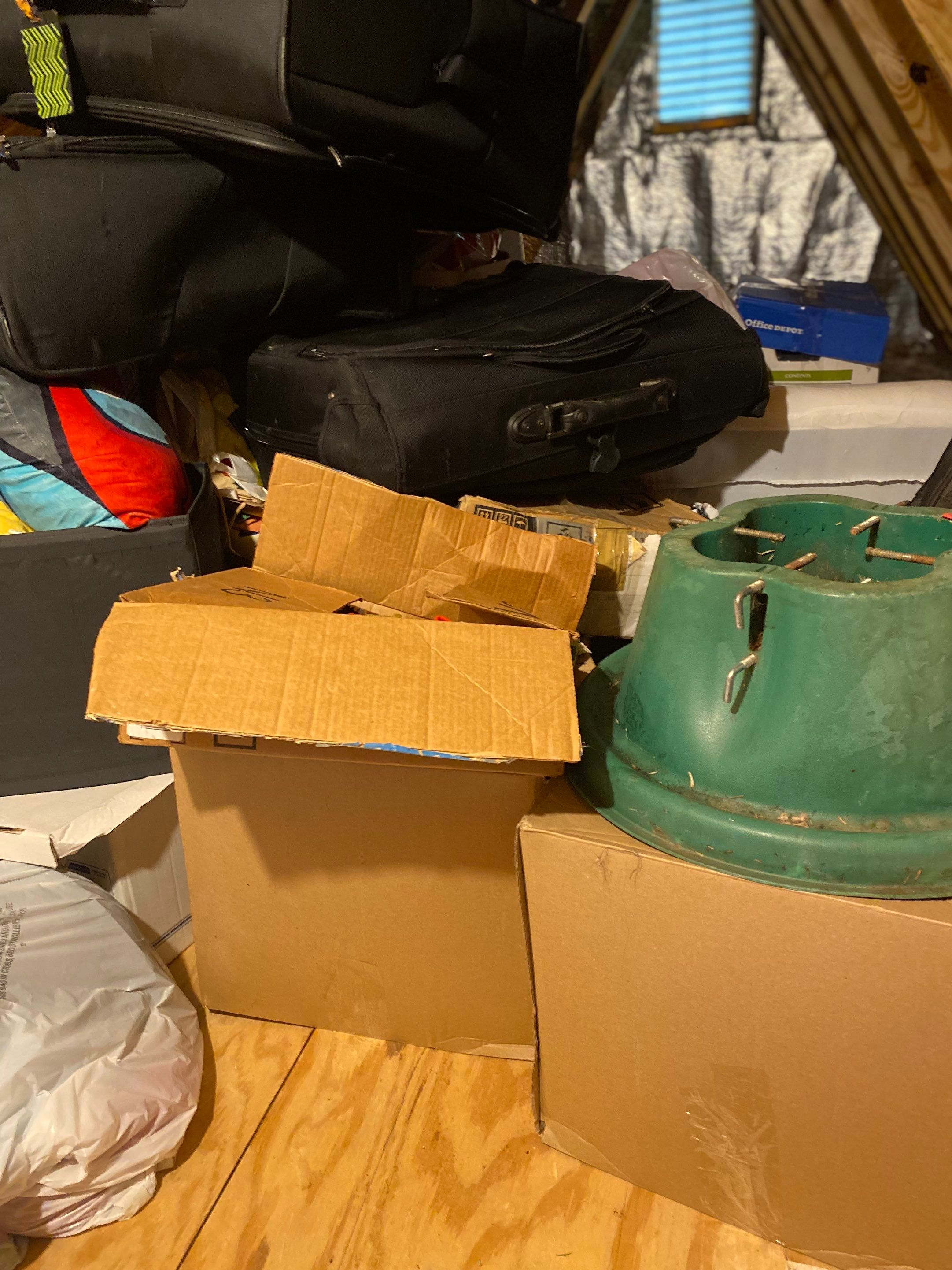 Burke: Multi-Trade Tree Damage Restoration by RM Banning, Inc.