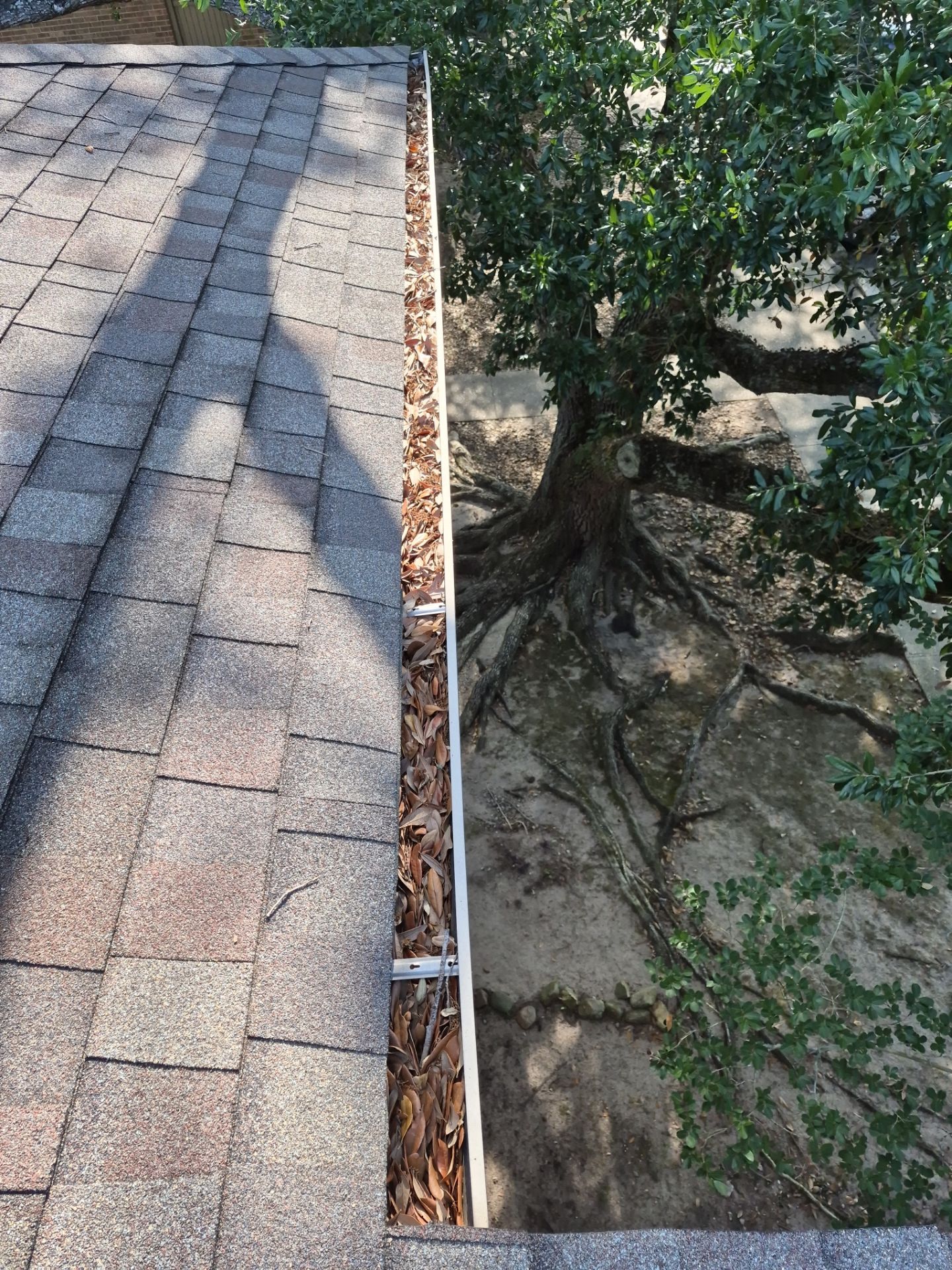 Commercial gutter cleaning Shreveport, LA before photo with filled gutters
