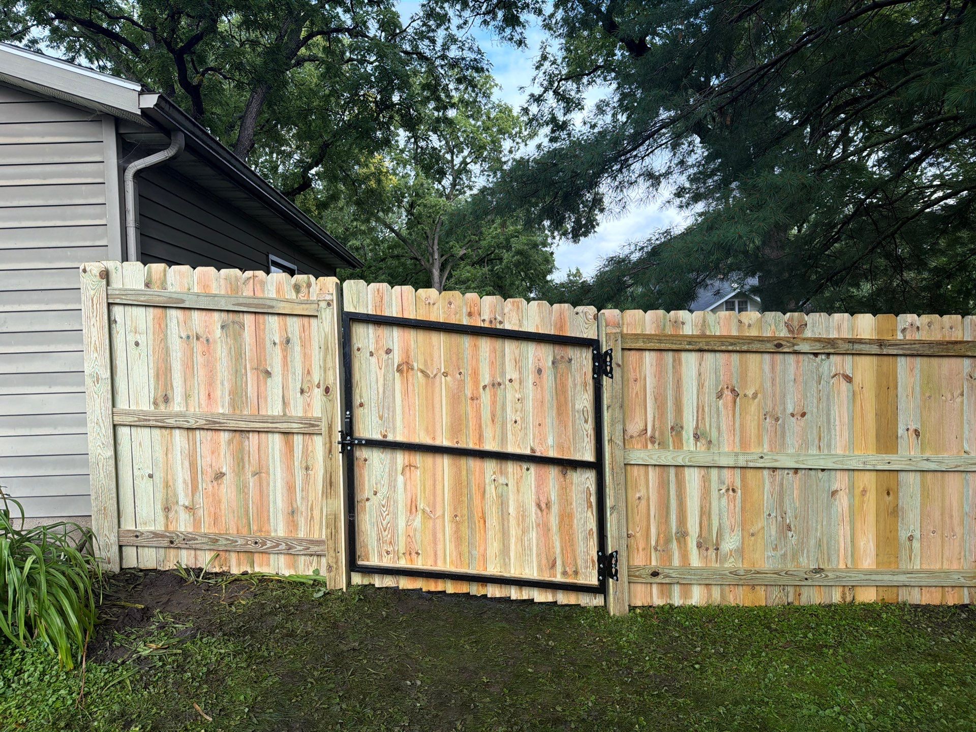 Pressure-Treated Pine Privacy Fence Installation in Cedar Falls by Perfect Picket Fence and Stain