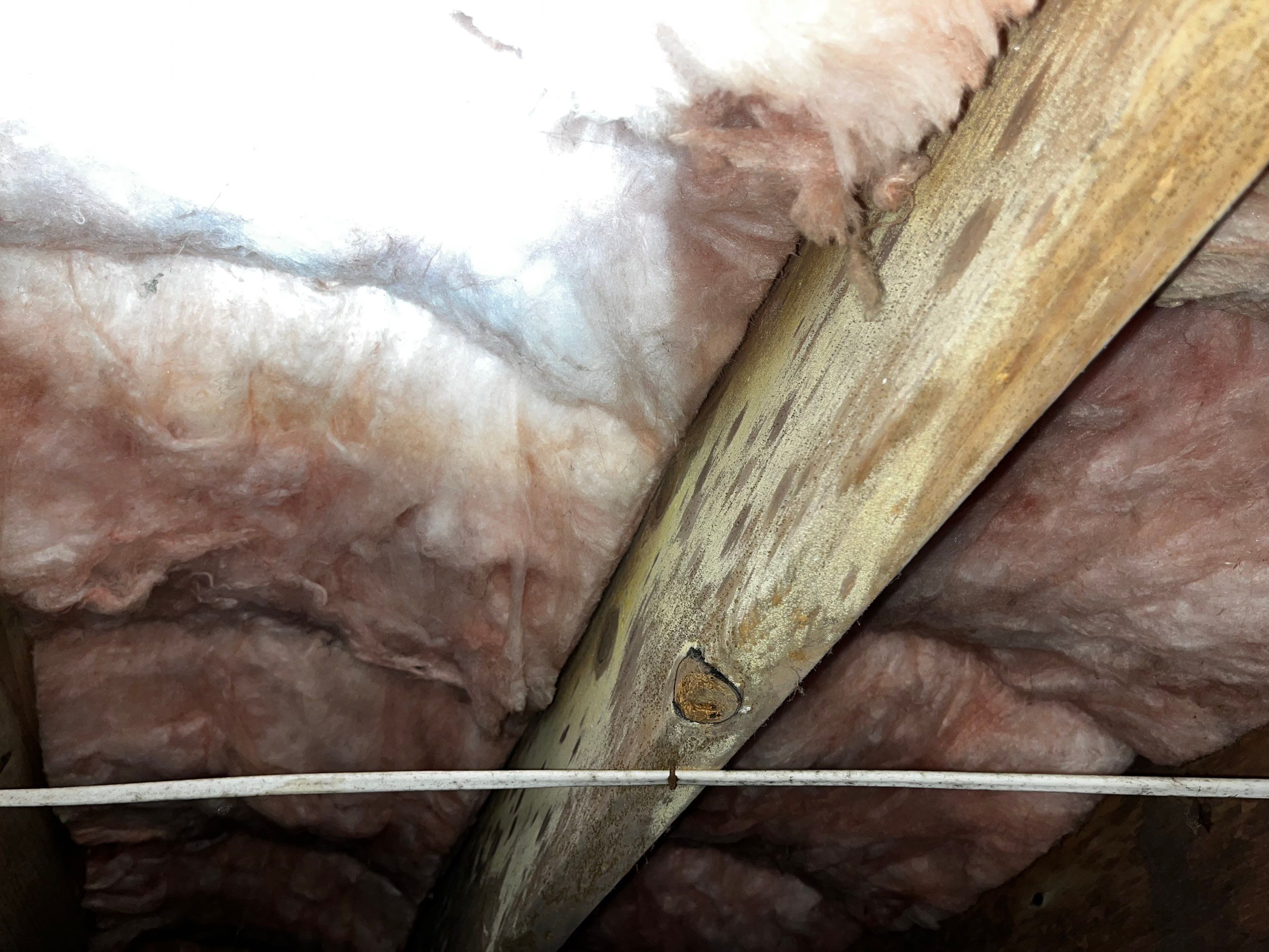 Impact Choice Encapsulation with Mold Removal. by Impact Crawlspace