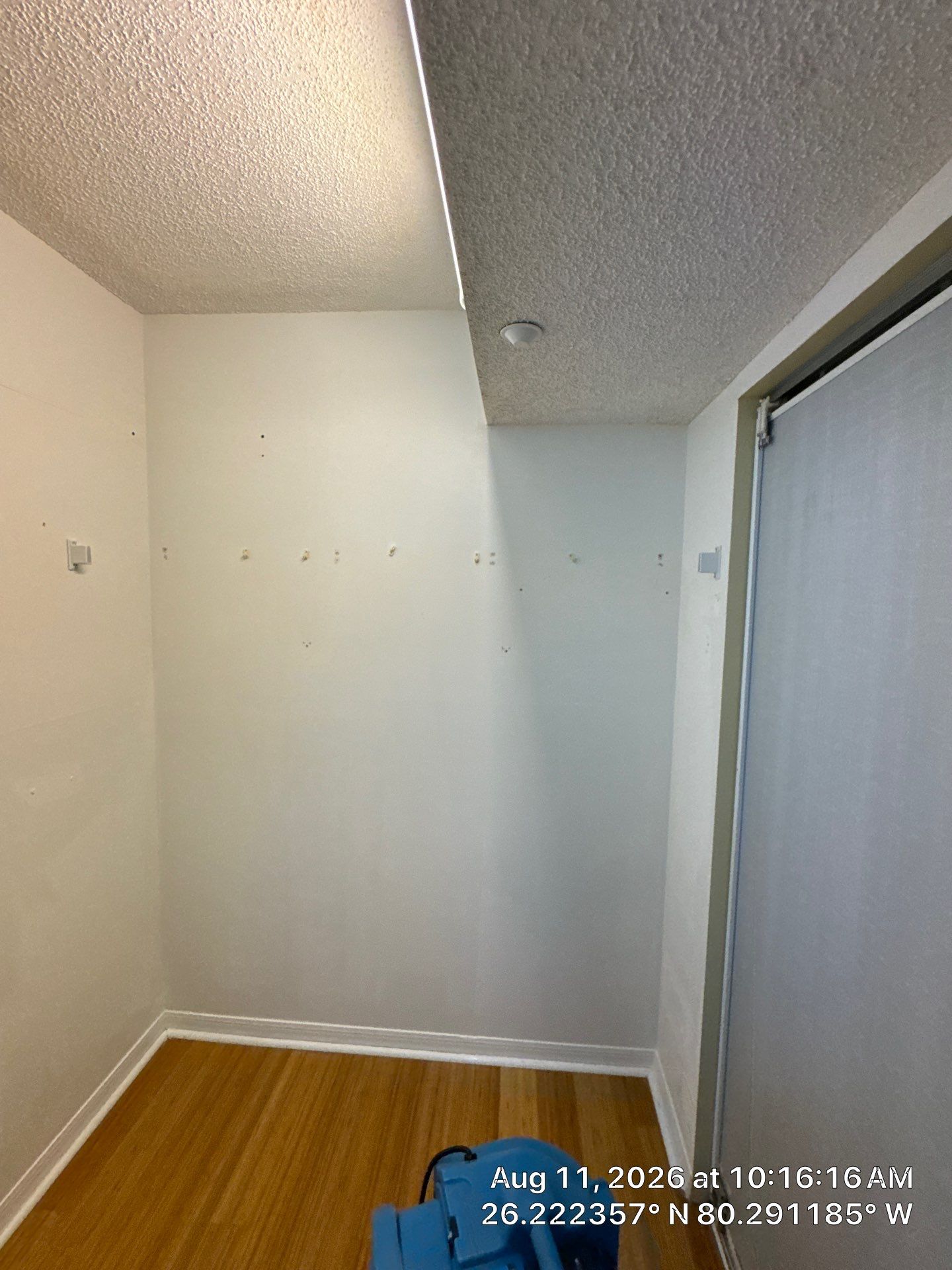 Comprehensive Mold Remediation and Moisture Control in Tamarac by SuperClean