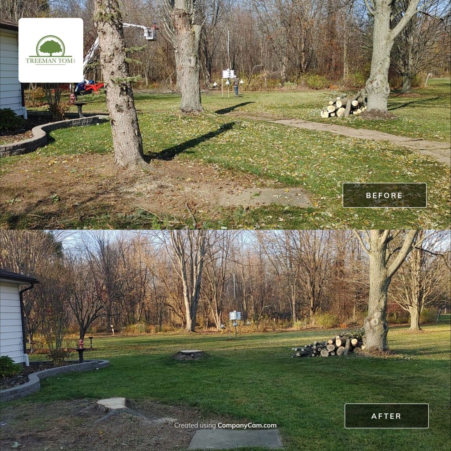 Tree Removal using Ground Protection  by Treeman Tom LLC
