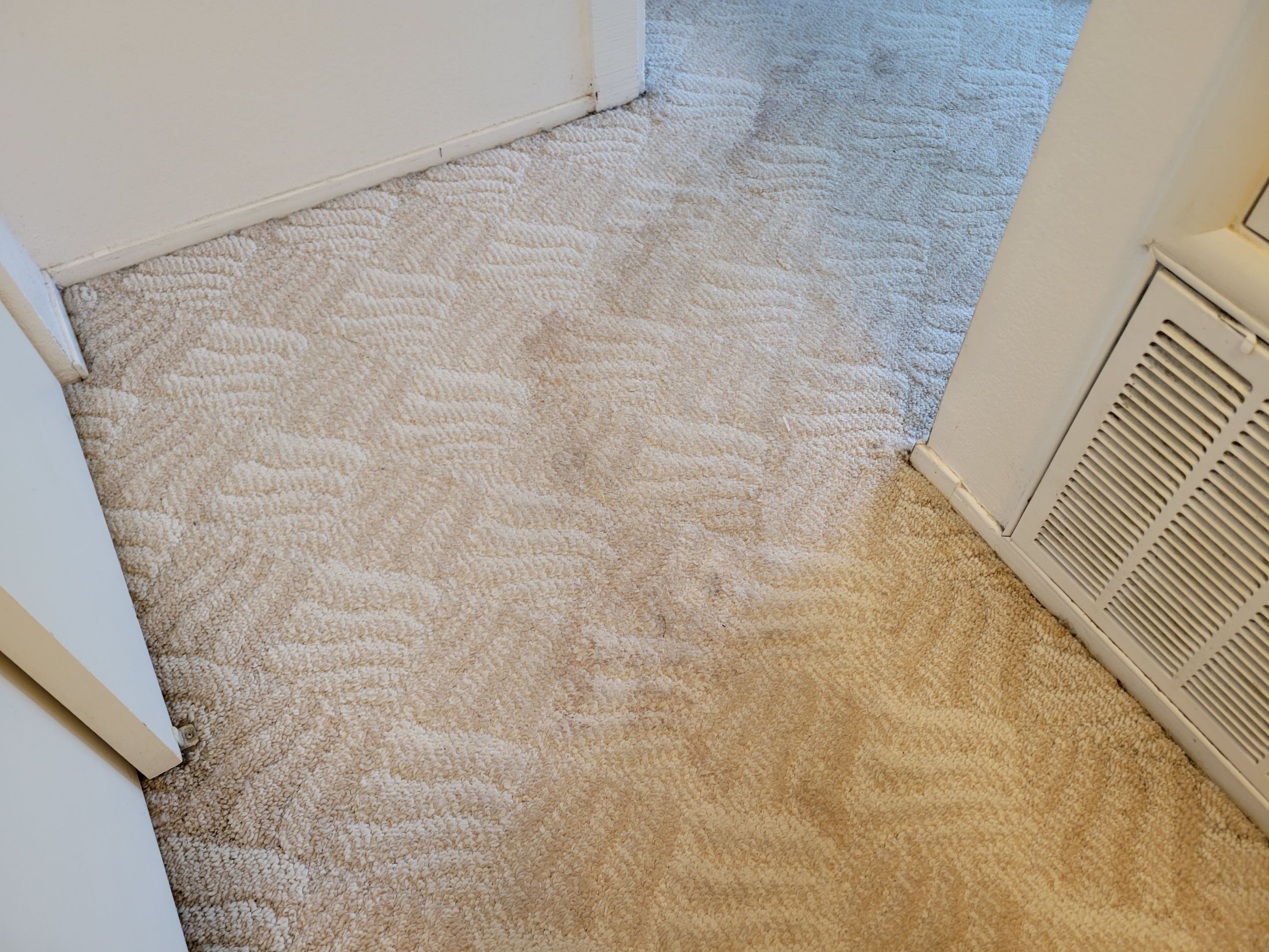 Post Dry Out, Water Stain Removal by Ardent Carpet Restore LLC