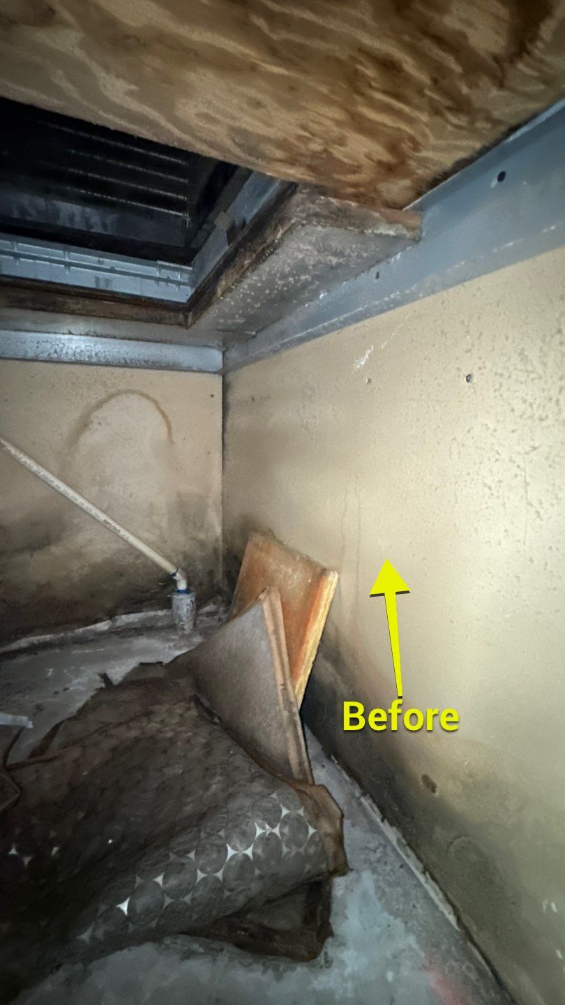 Commercial Air Duct Cleaning in Tavares by Hygienic Air, Inc